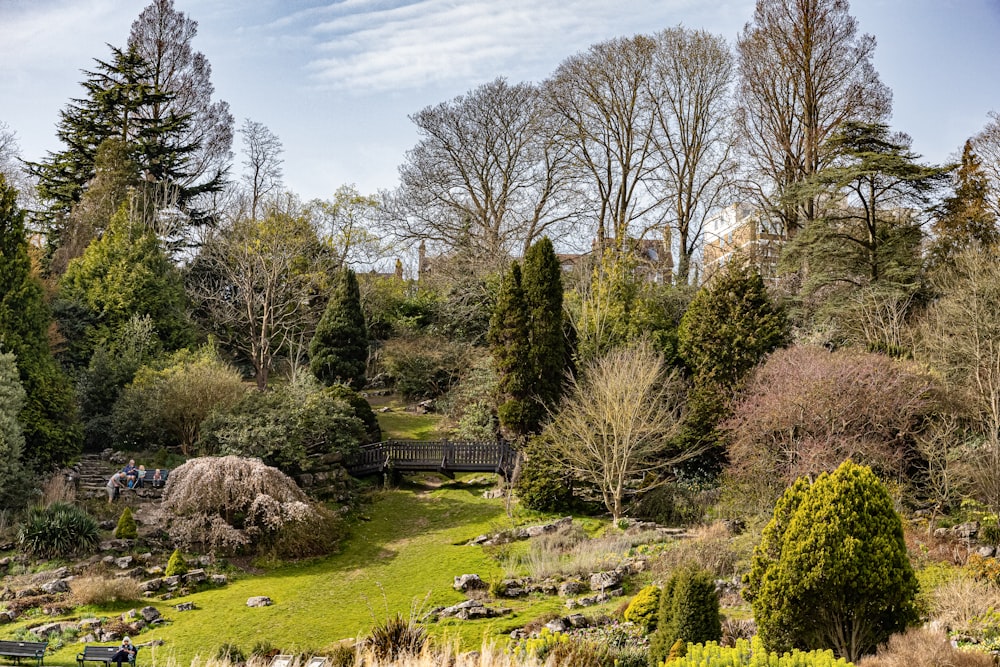 green grass field surrounded by trees under blue sky during daytime