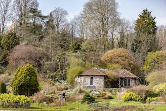 A stone cottage with a thatched roof is nestled in a lush garden surrounded by various trees and shrubs. The garden is abundant with greenery, displaying diverse plant life and colorful flowers. A person is seen tending to the garden, enhancing the scene's tranquil and natural atmosphere.