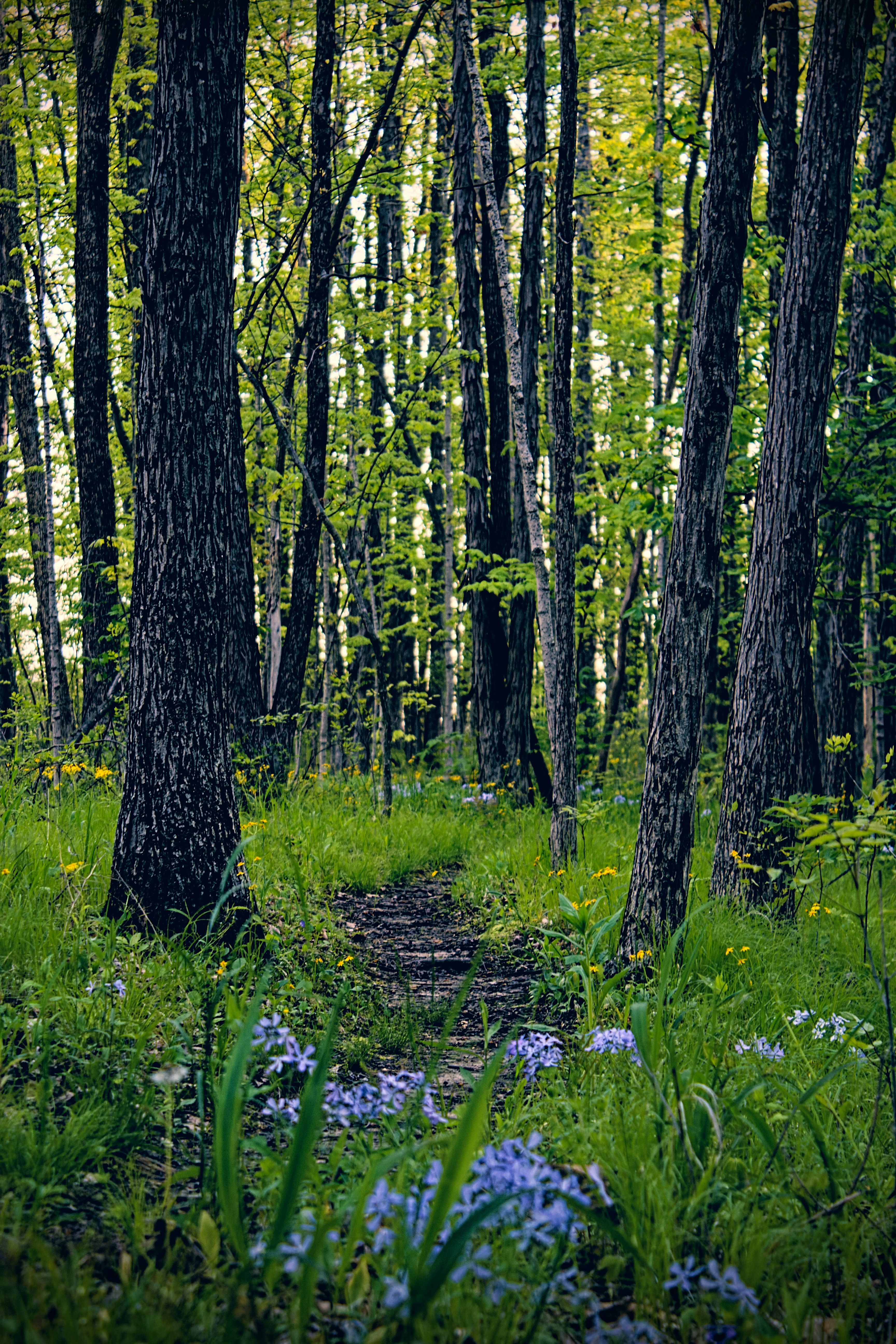 Photo by mrgreatheart