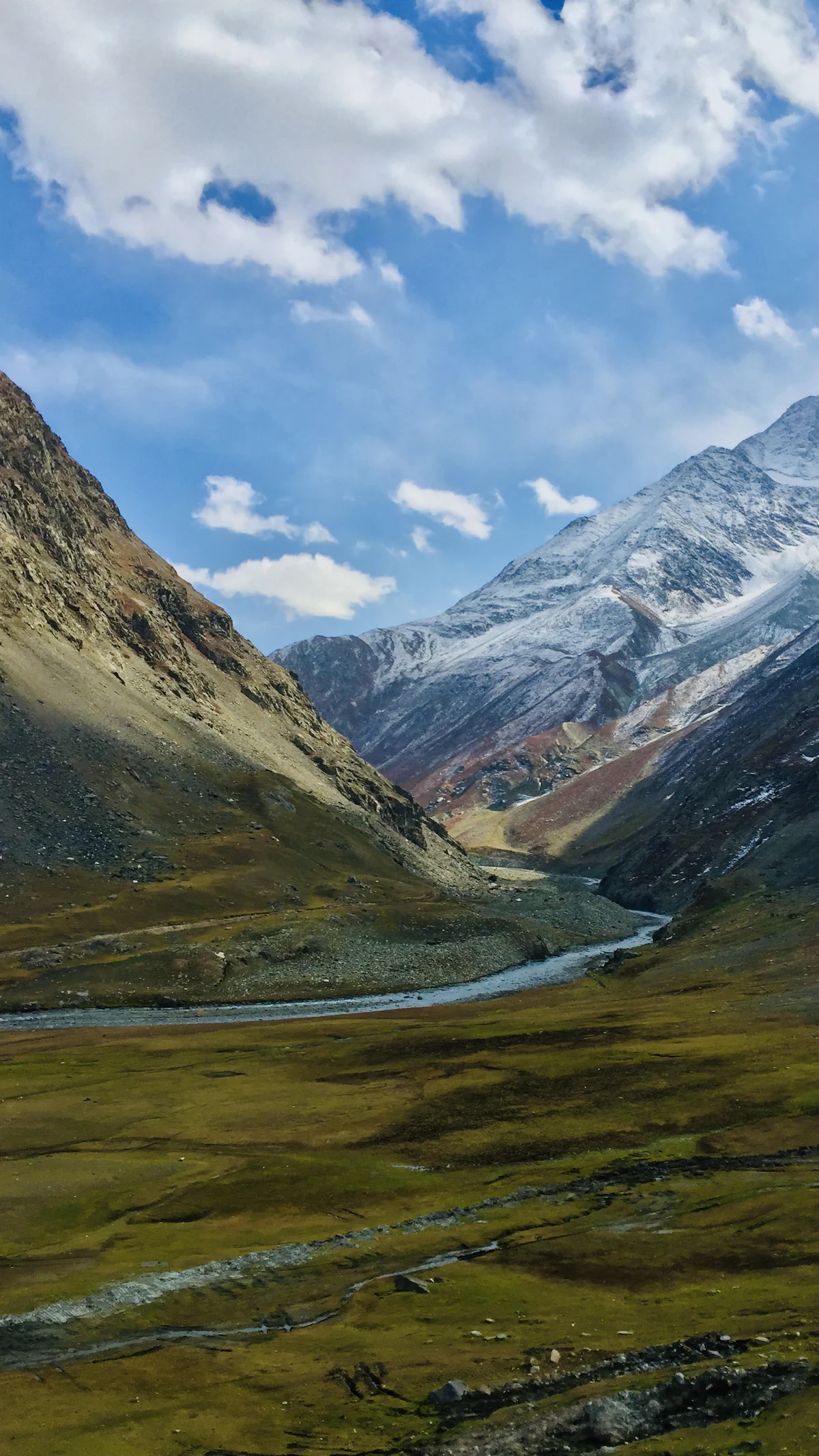 Dzükou Valley