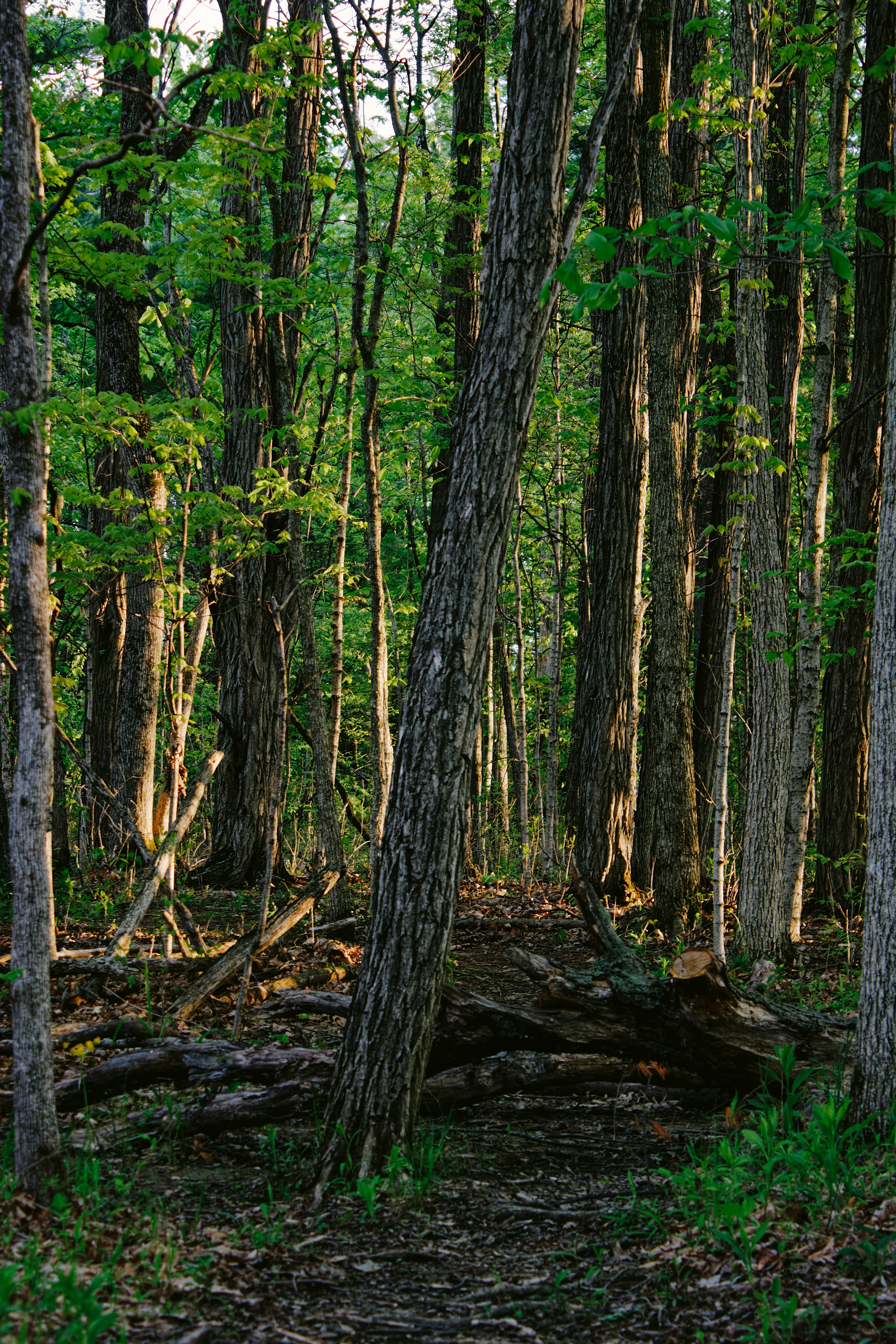 Photo by mrgreatheart