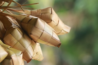 A close-up view of woven palm leaves crafted into a traditional shape, typically used for food wrapping or decoration. The intricate weaving pattern highlights the texture and craftsmanship involved.
