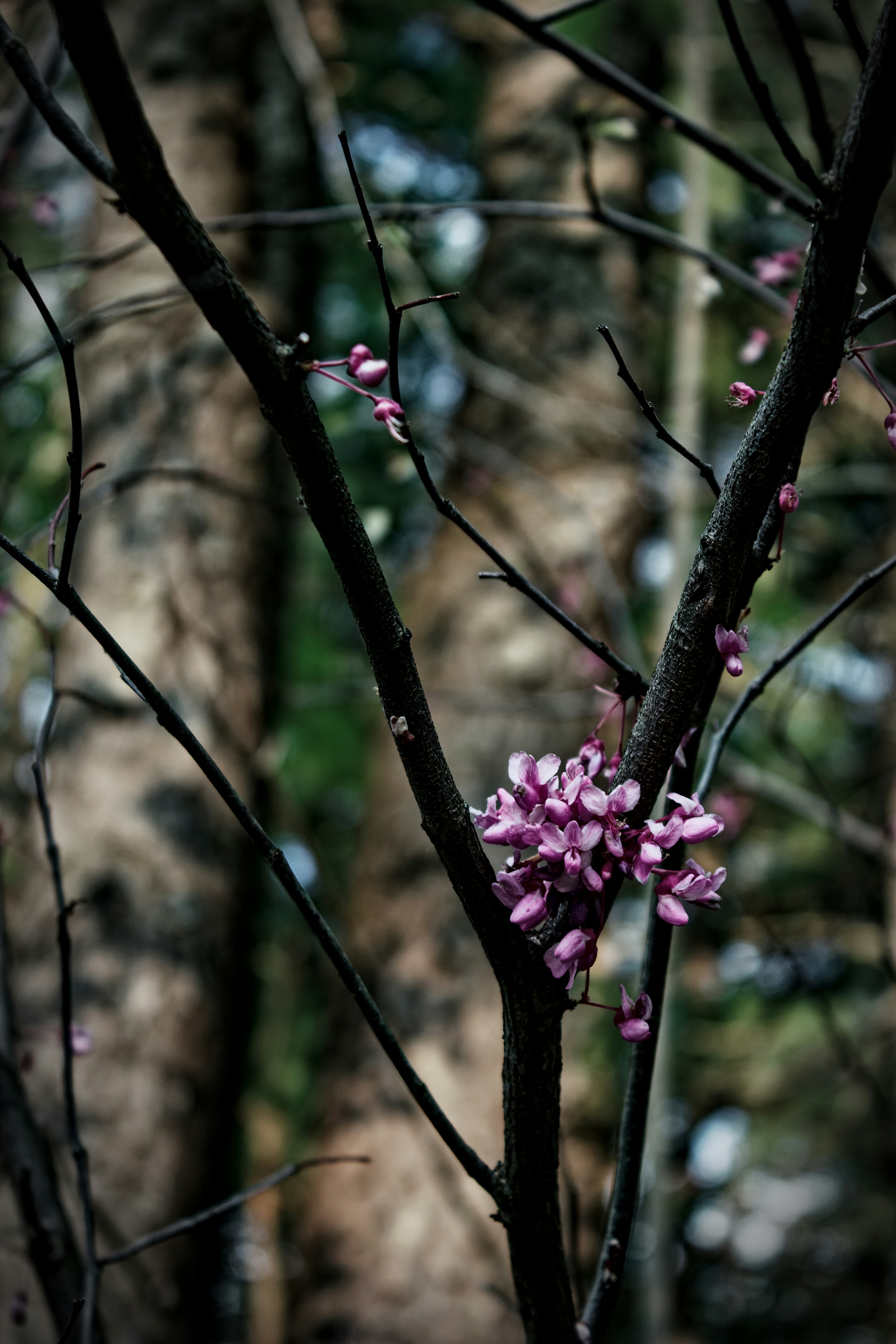 Photo by mrgreatheart