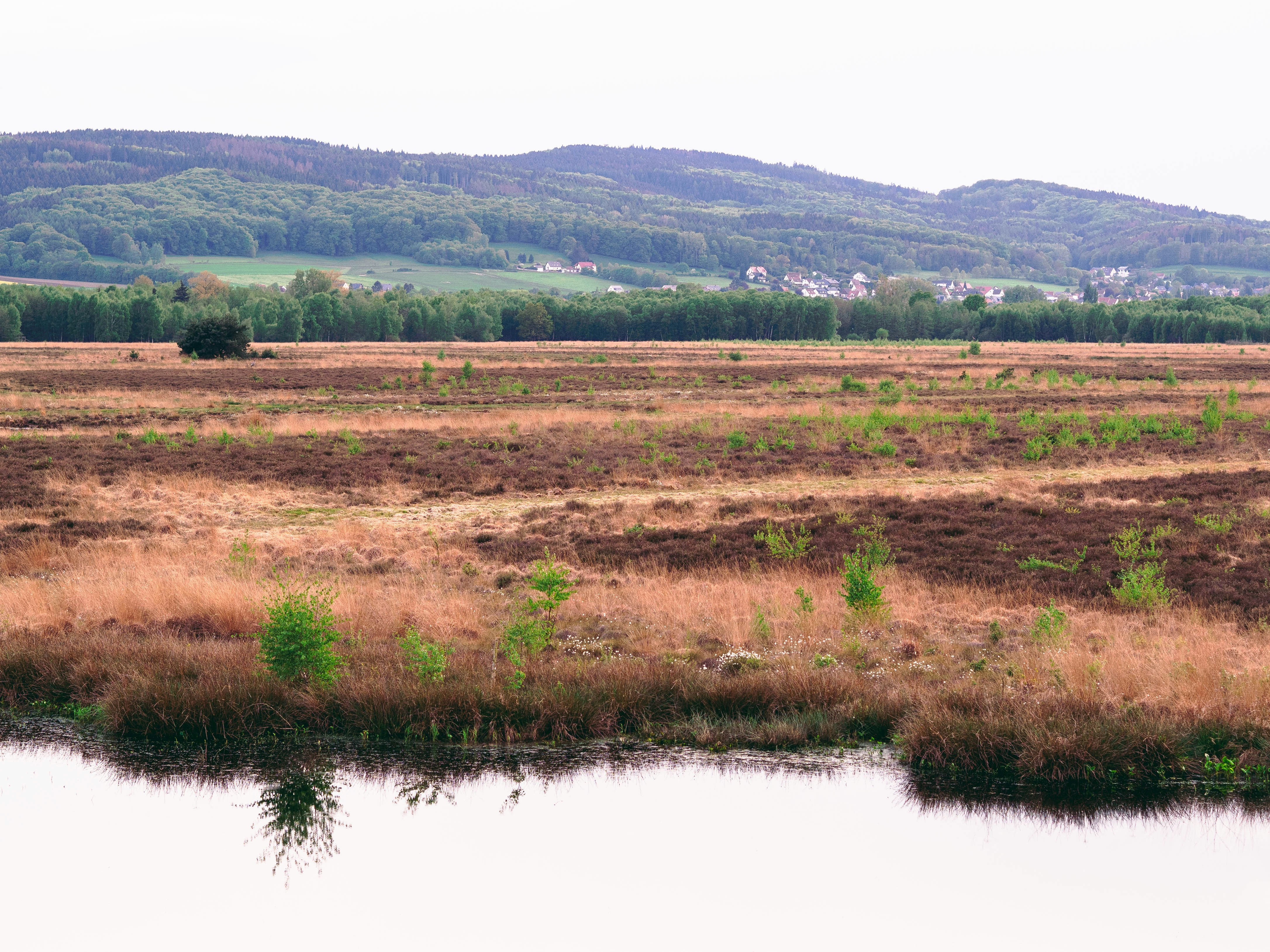 낮에는 호수 근처의 푸른 잔디밭