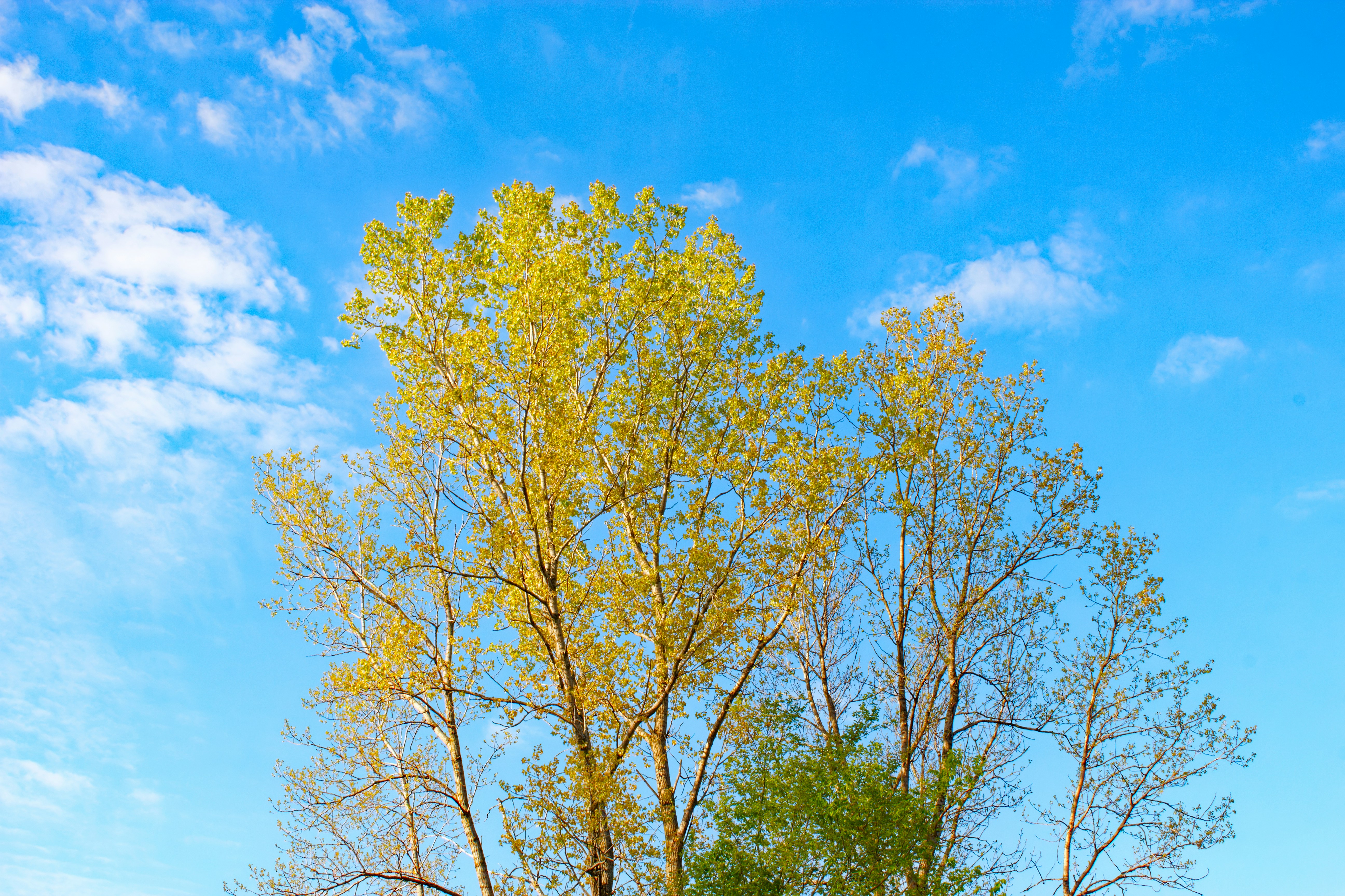 Photo by mrgreatheart