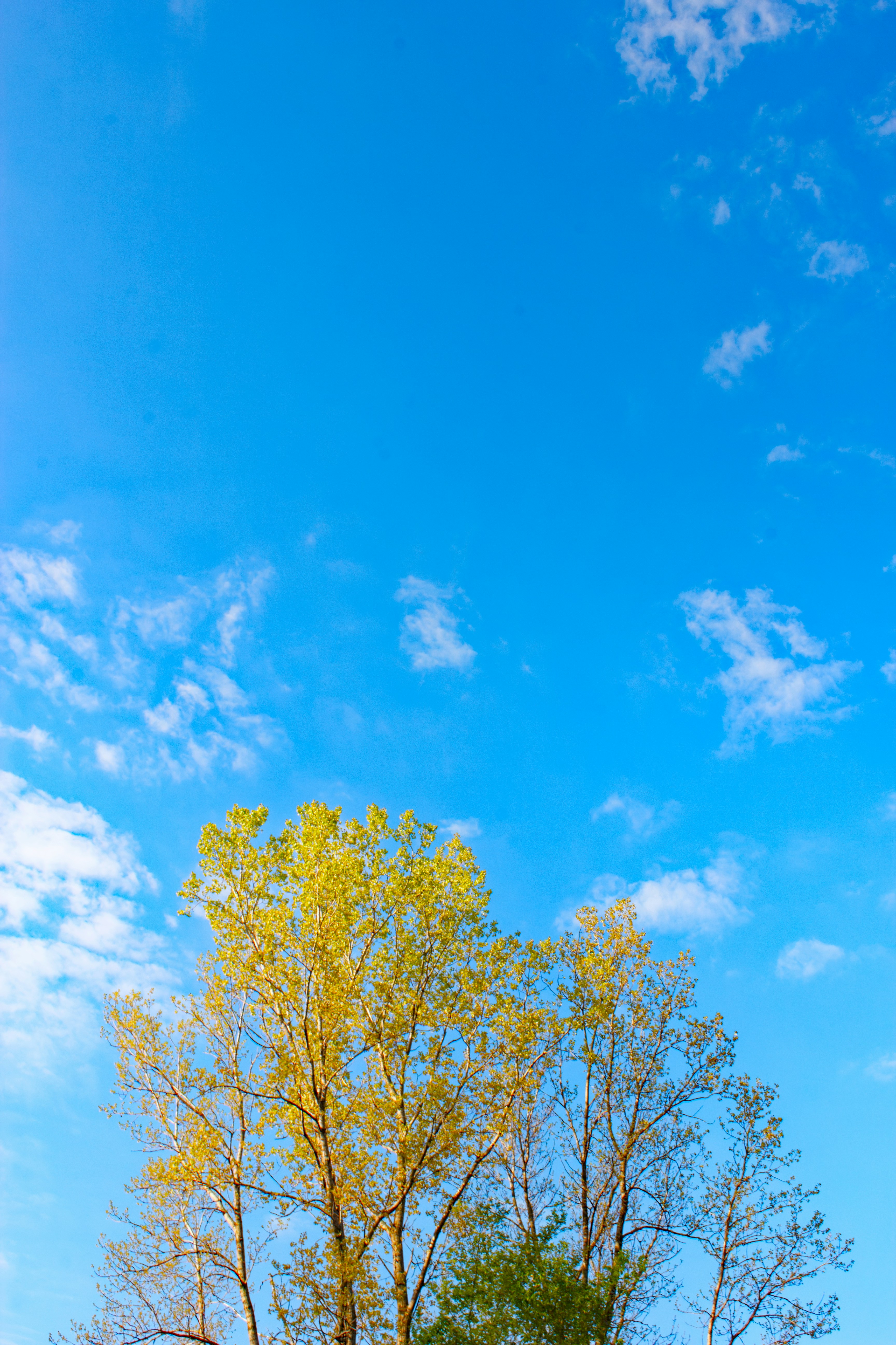 Photo by mrgreatheart