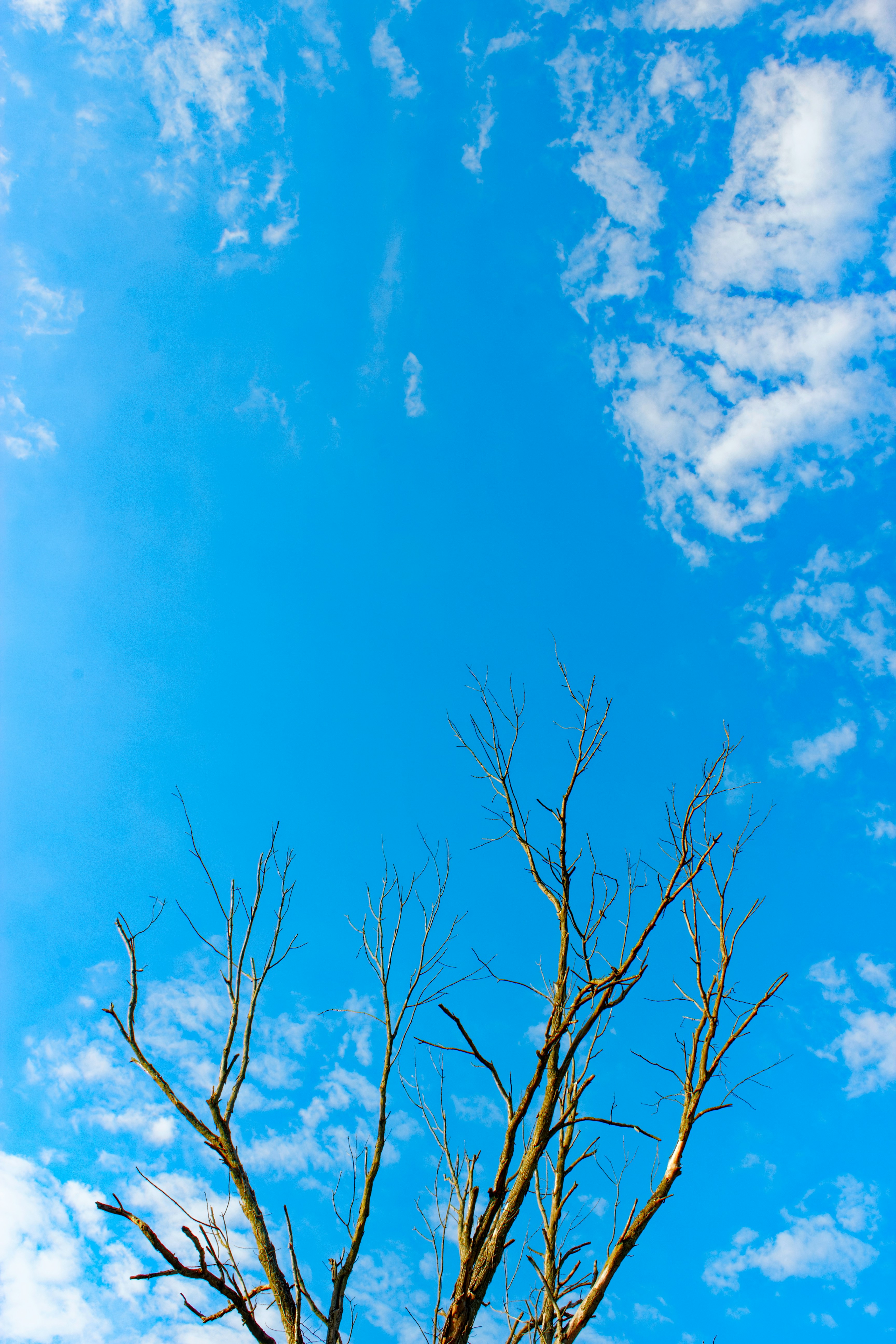 Photo by mrgreatheart