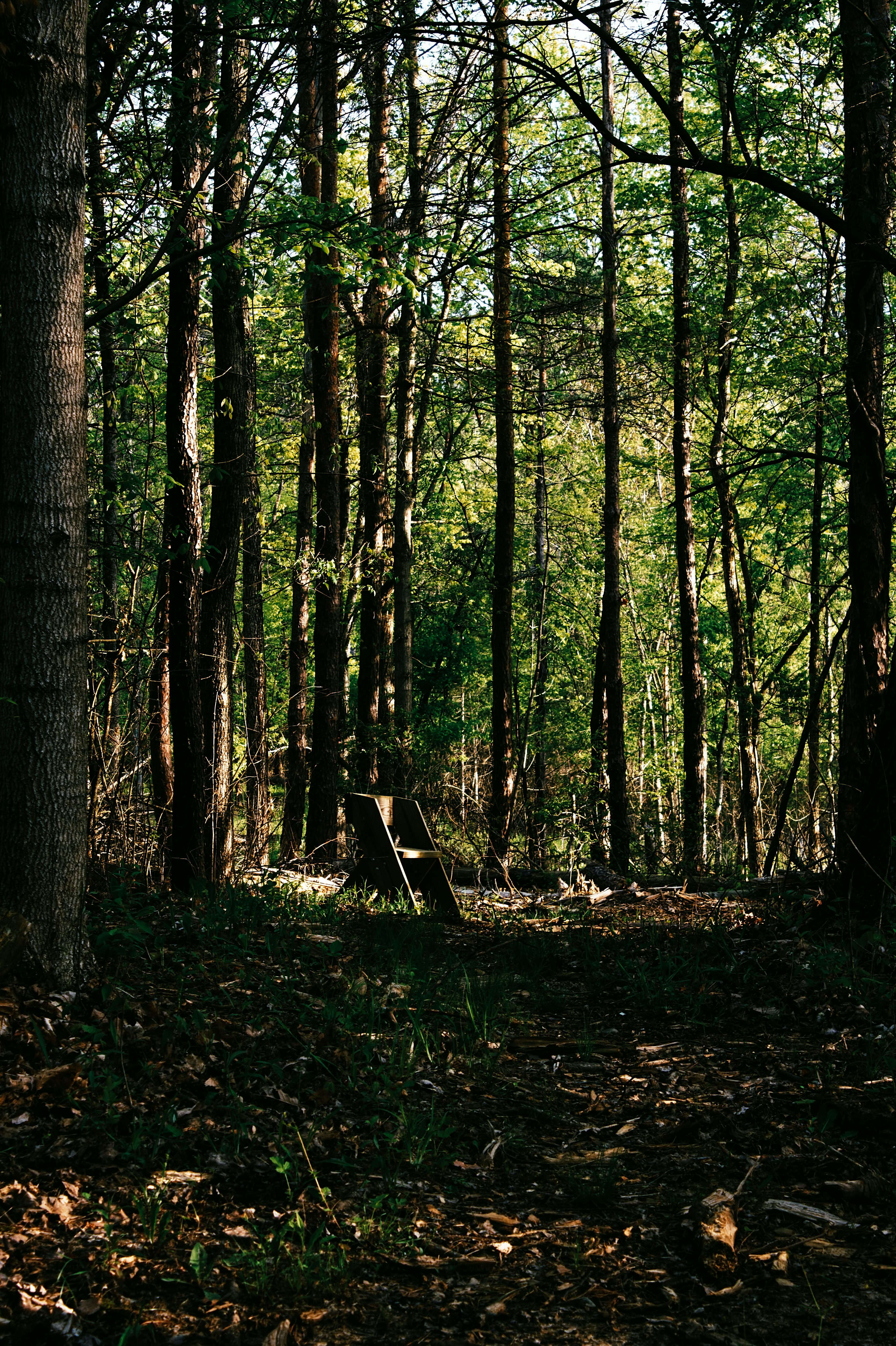 Photo by mrgreatheart