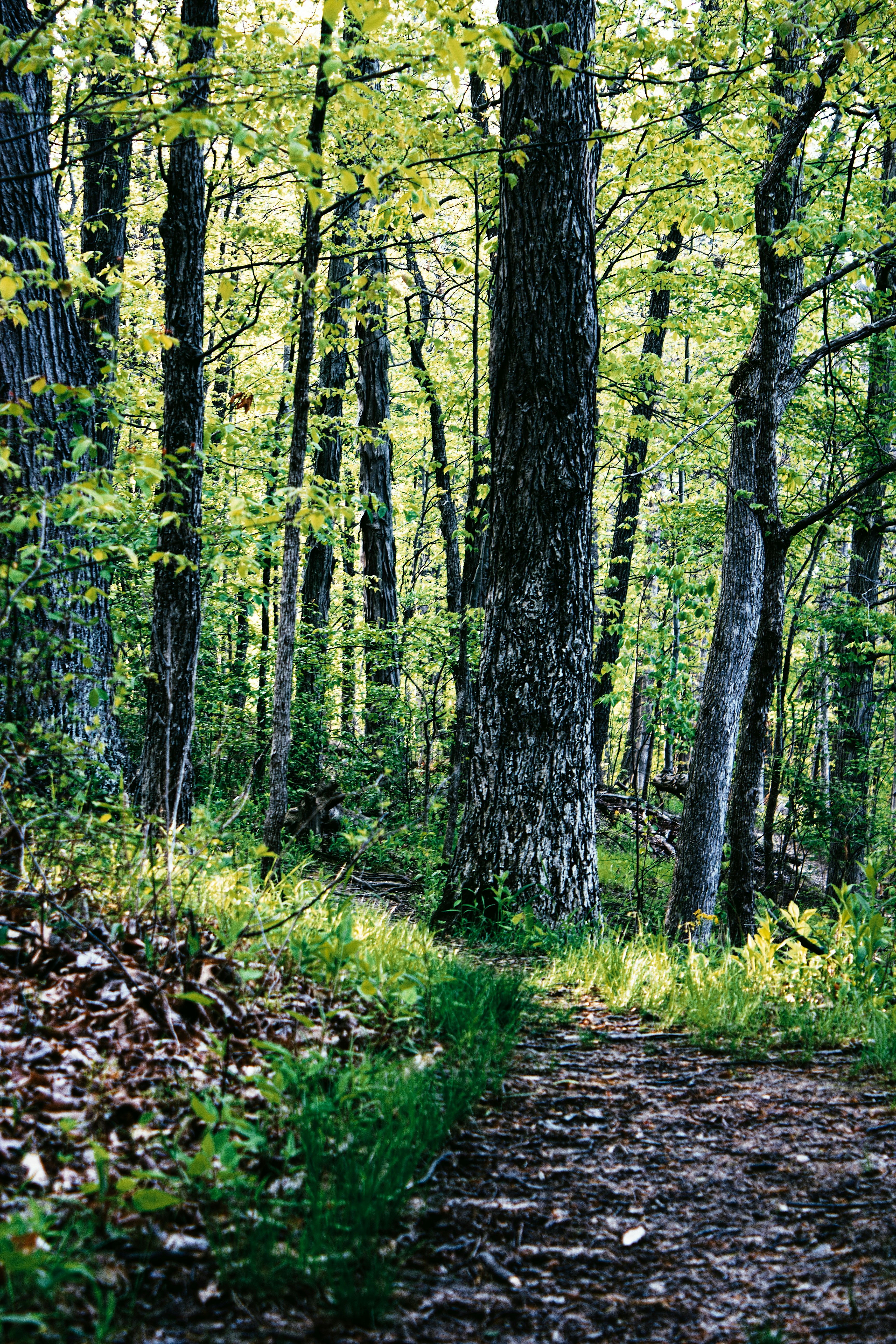 Photo by mrgreatheart