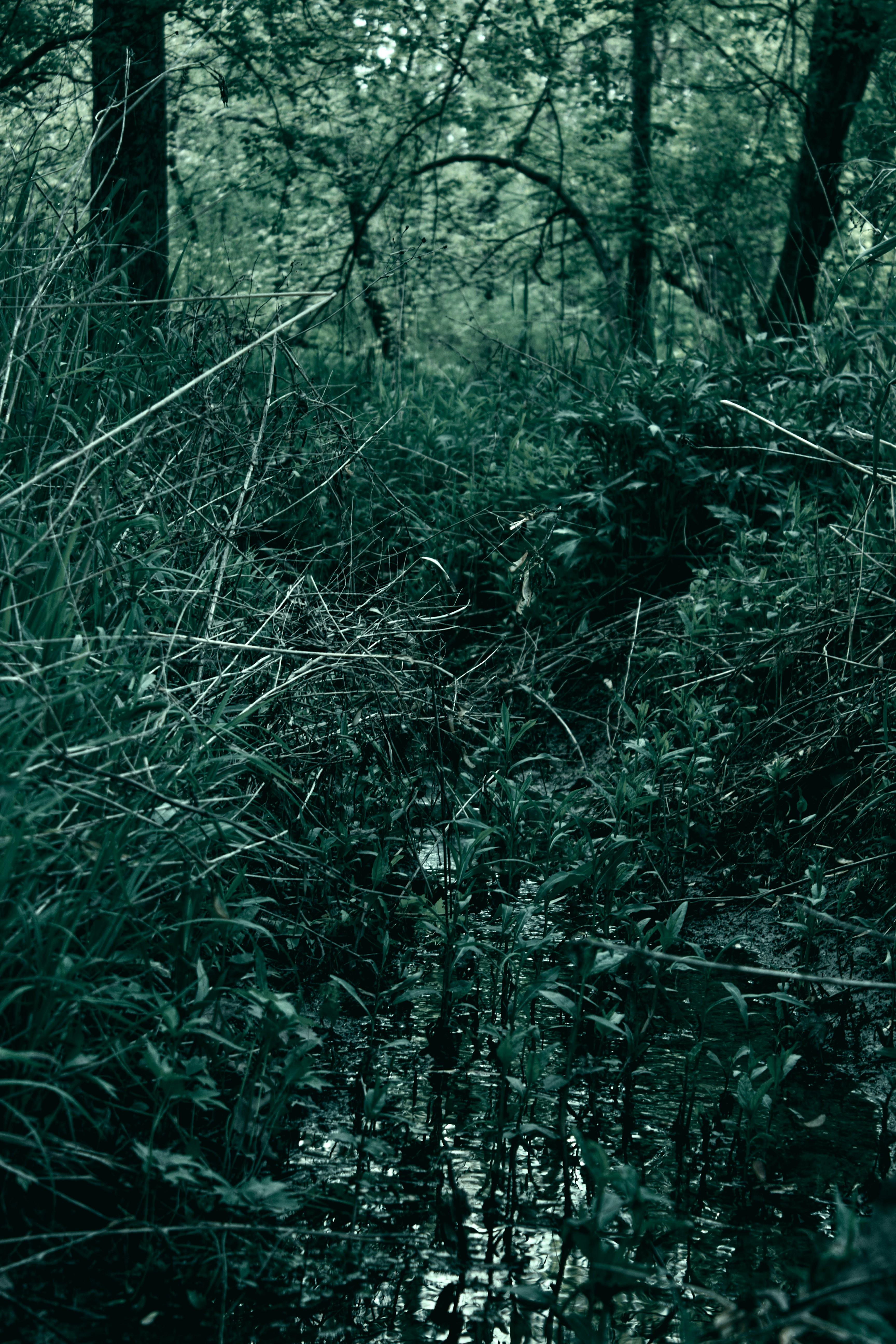 Photo by mrgreatheart