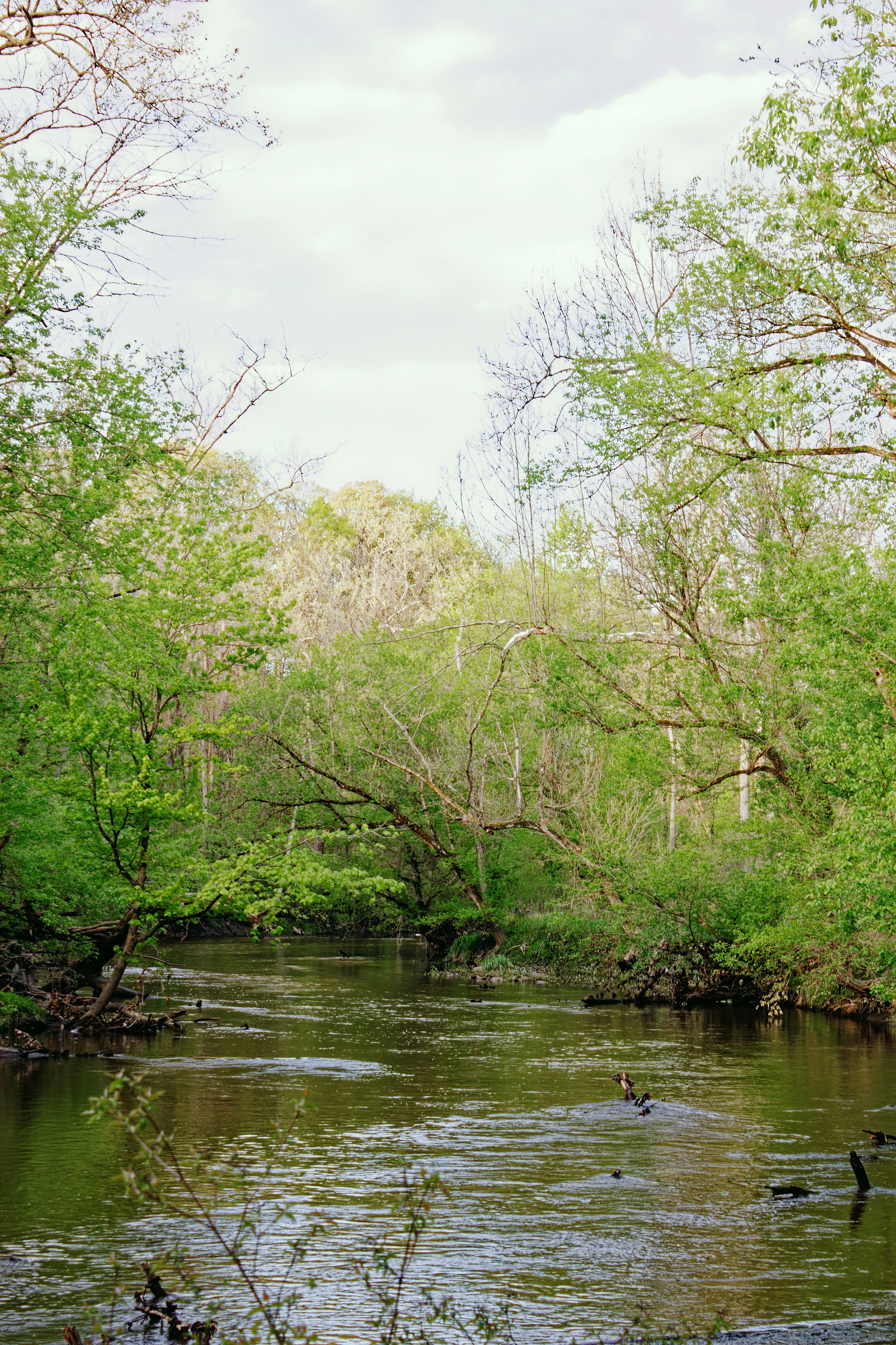 Photo by mrgreatheart