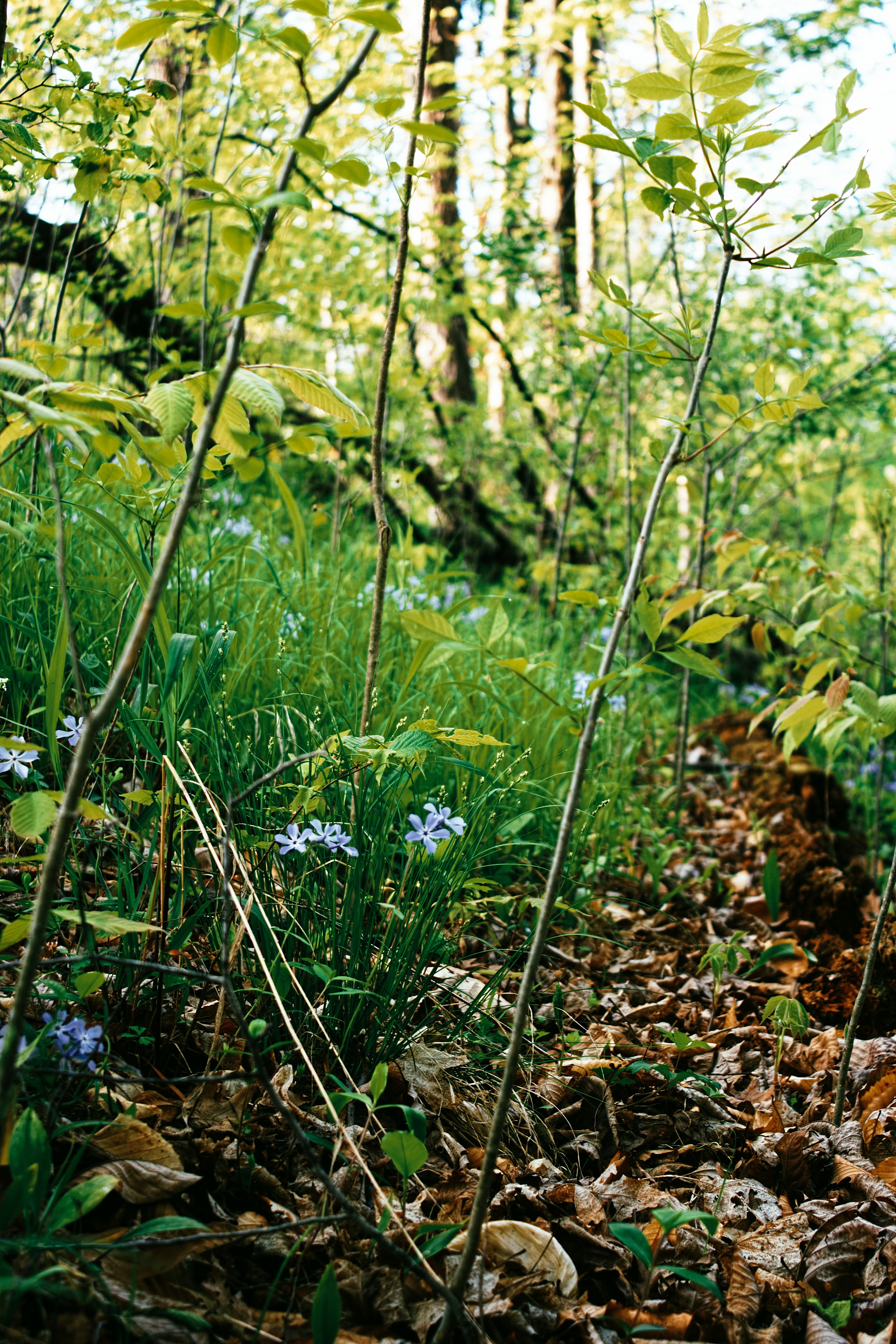 Photo by mrgreatheart