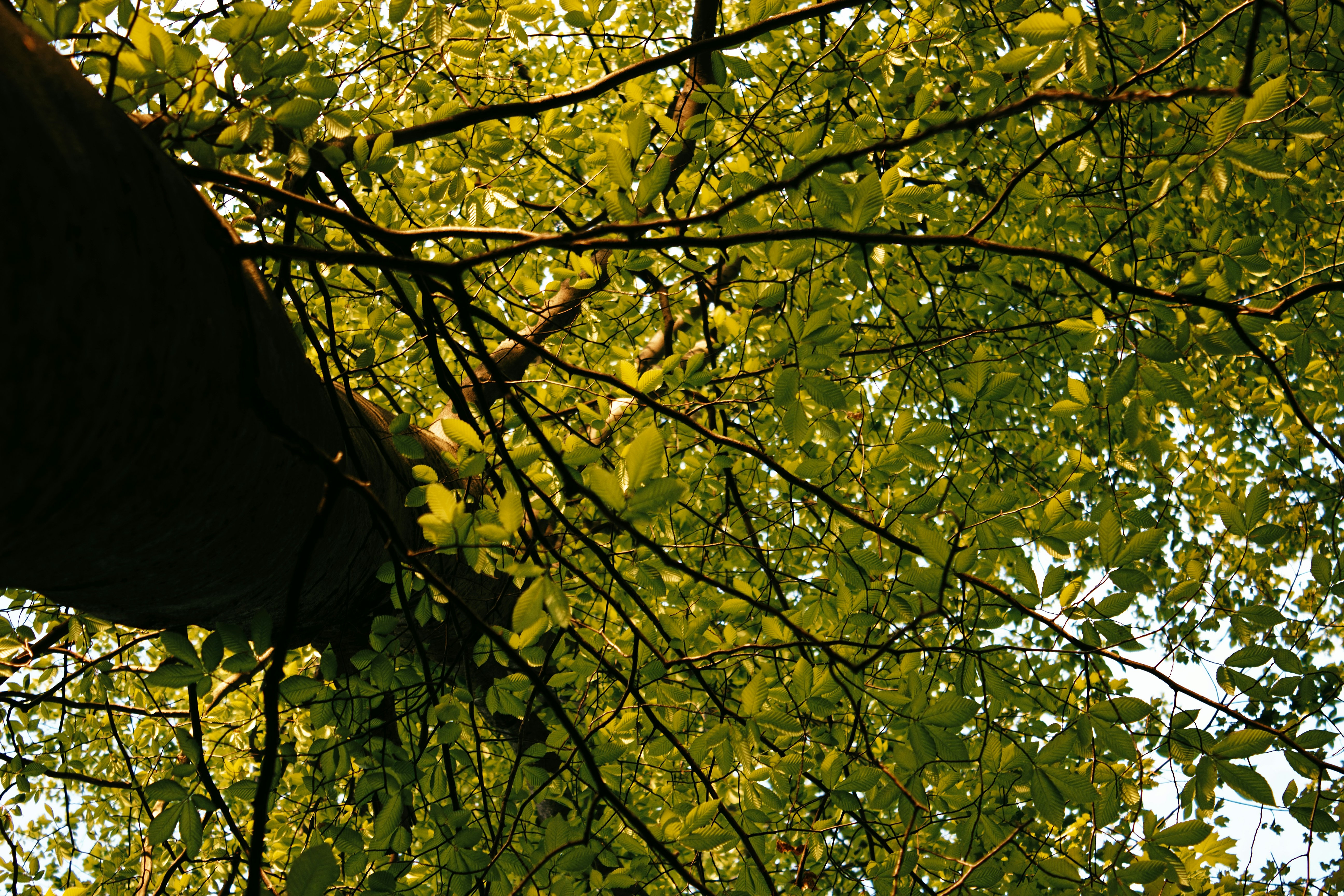 Photo by mrgreatheart