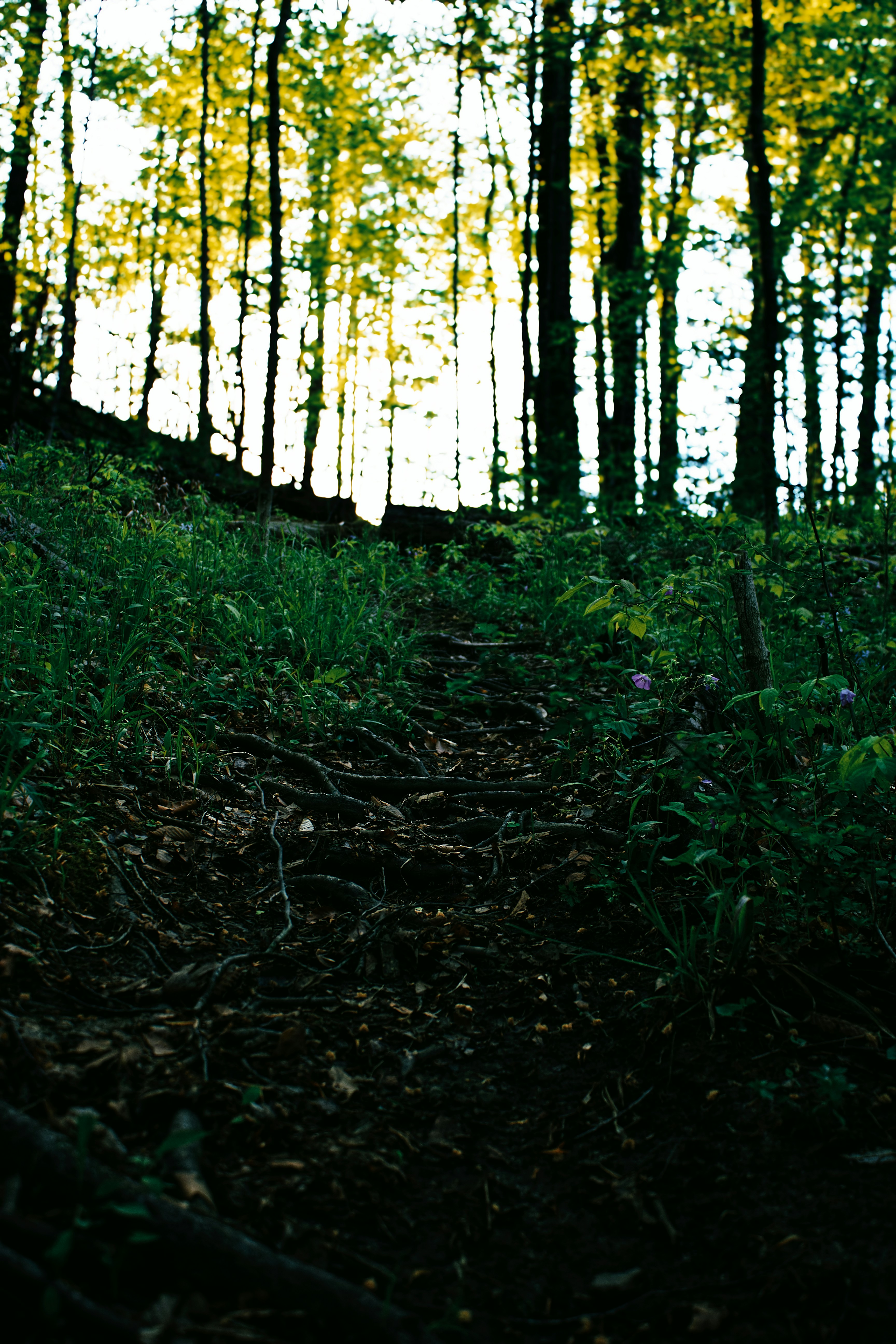 Photo by mrgreatheart