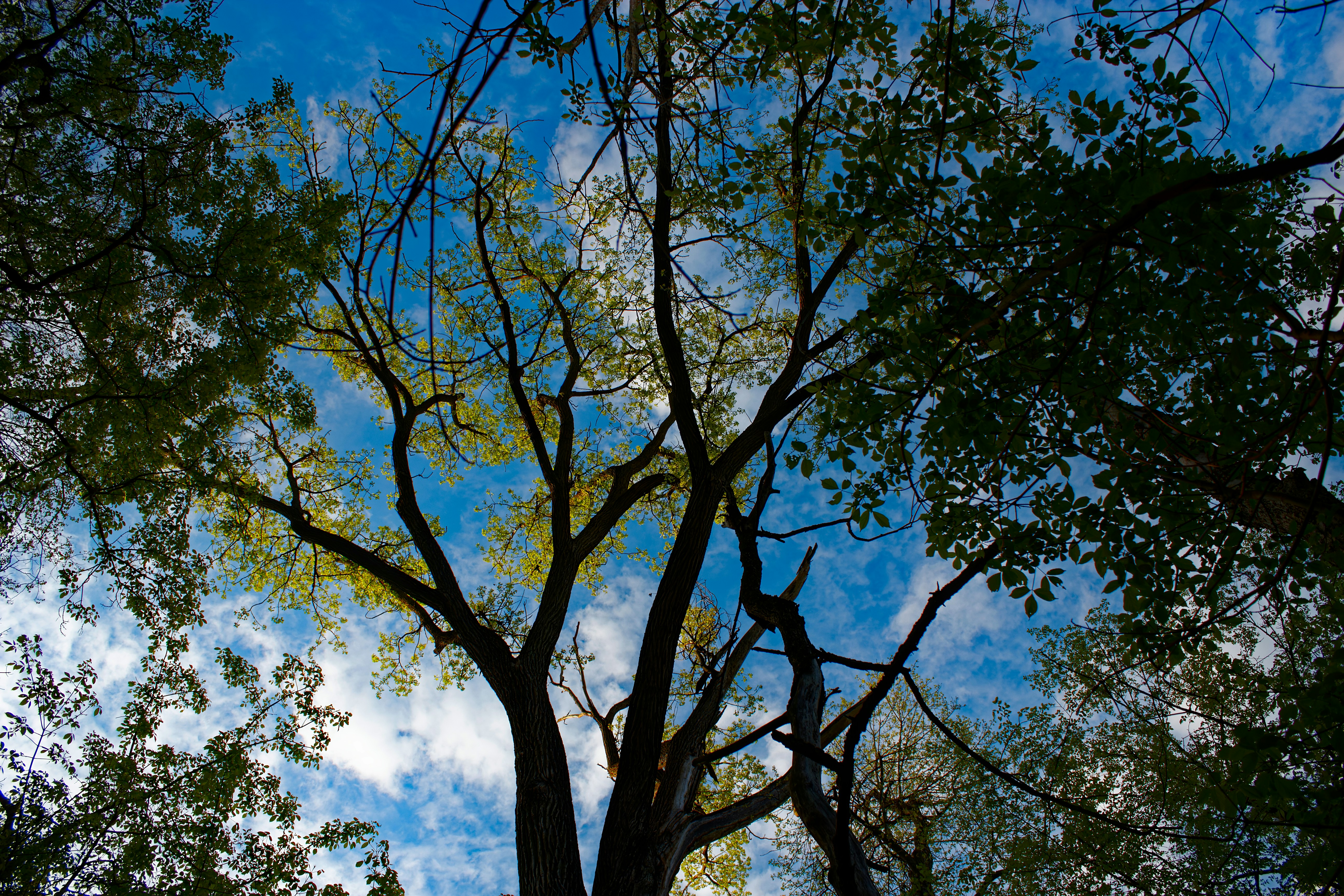 Photo by mrgreatheart