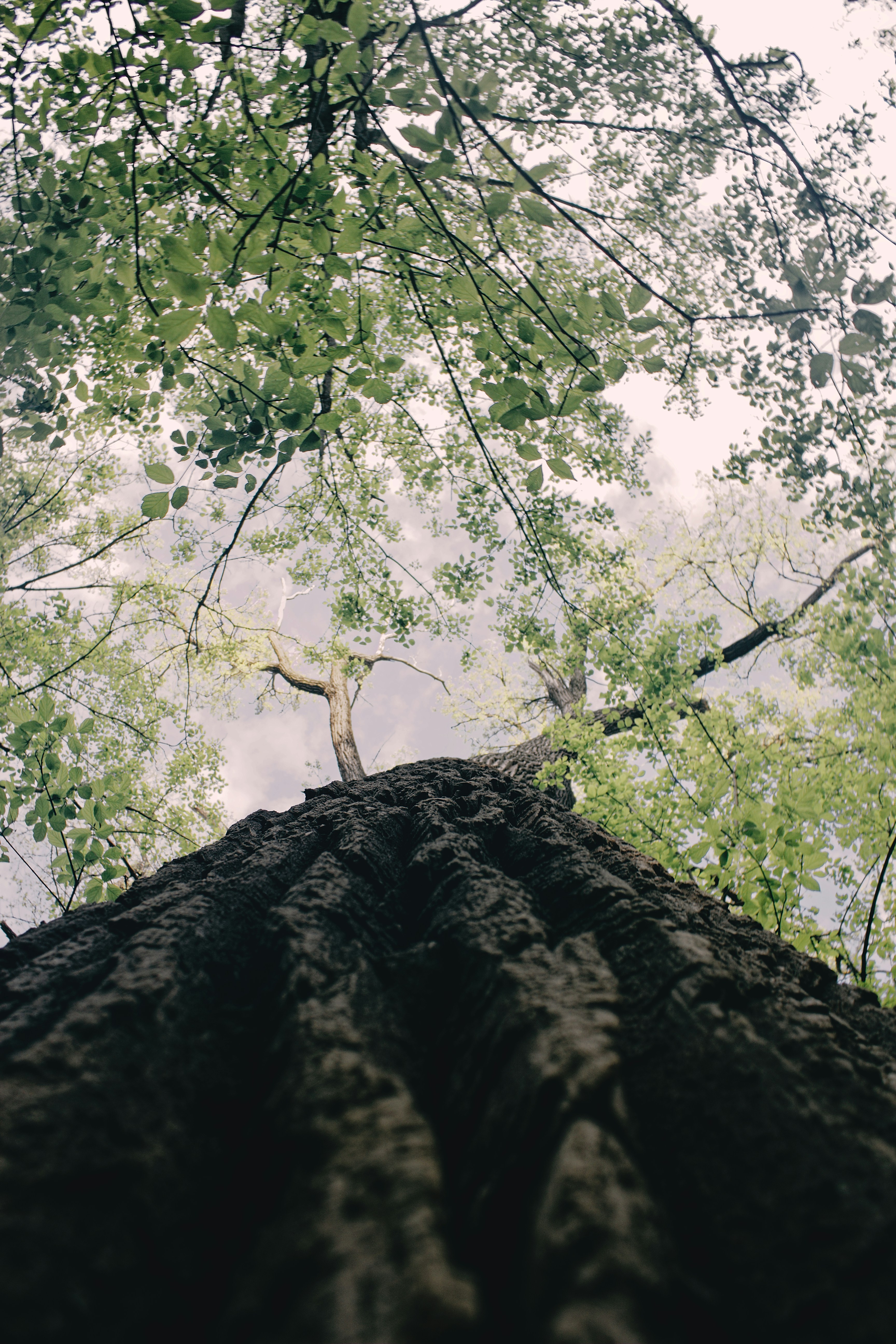 Photo by mrgreatheart