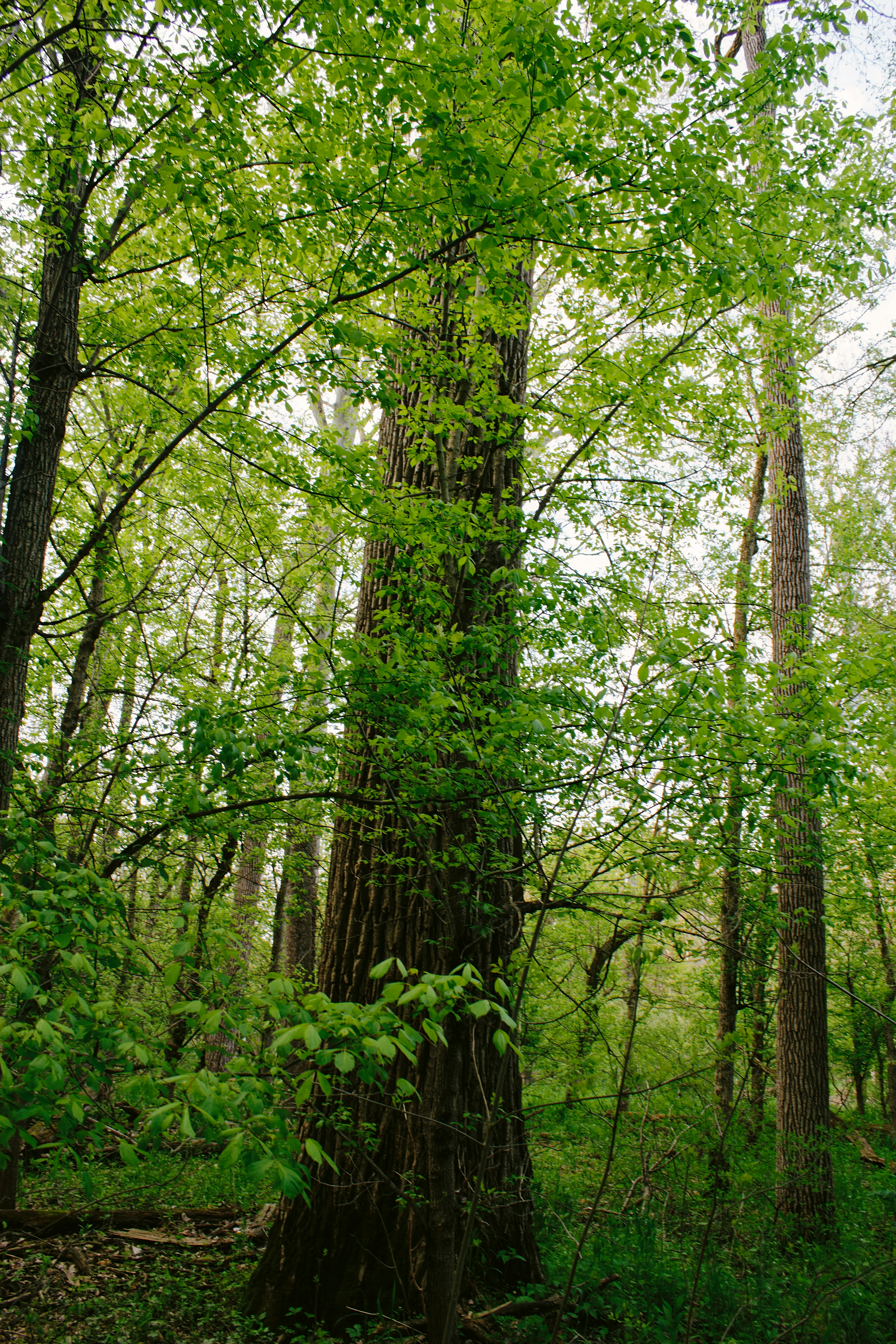 Photo by mrgreatheart