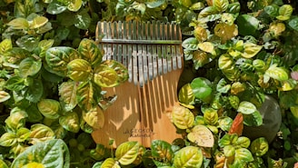 A kalimba with wooden body and metal tines is resting among lush green leaves. The kalimba has a brand name 'Gecko' and is partially covered by the surrounding foliage, creating a harmonious blend of natural and crafted elements.