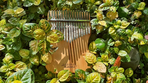 A kalimba with wooden body and metal tines is resting among lush green leaves. The kalimba has a brand name 'Gecko' and is partially covered by the surrounding foliage, creating a harmonious blend of natural and crafted elements.