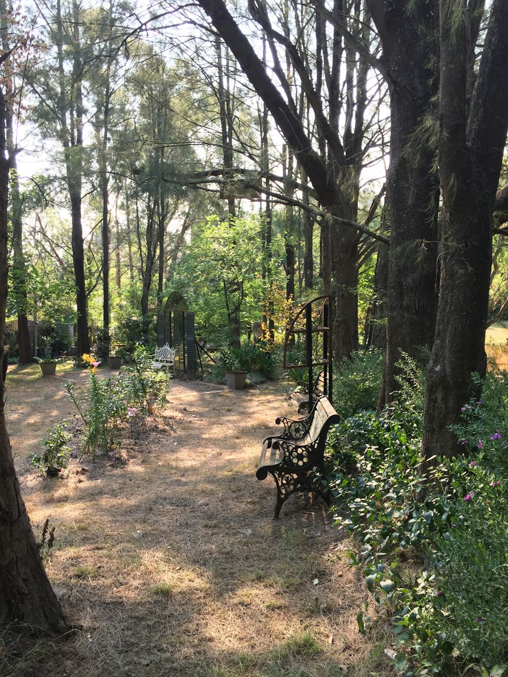 brown wooden bench on forest during daytime