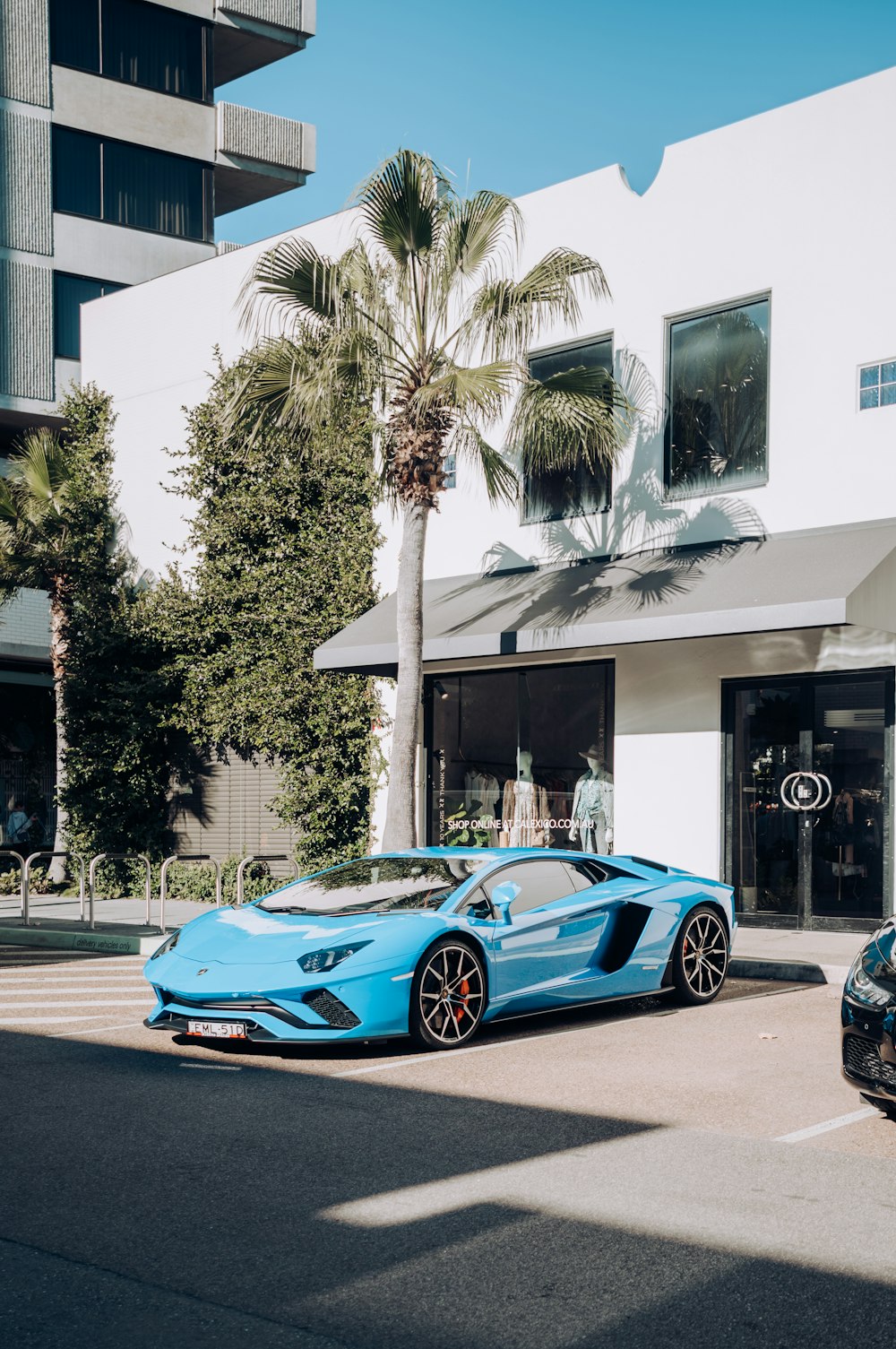 blue and black coupe parked near palm tree during daytime