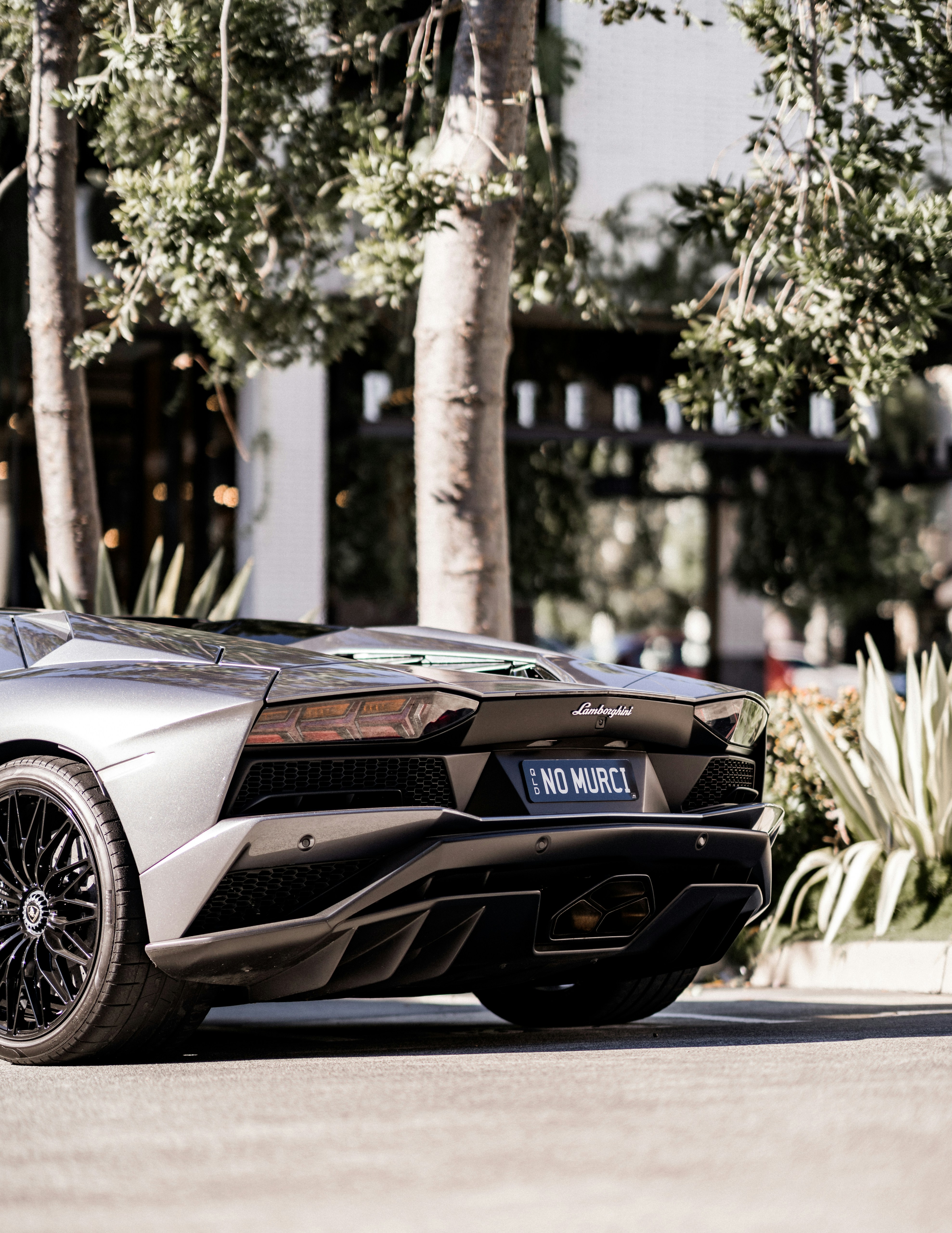 Photo by baileymahon