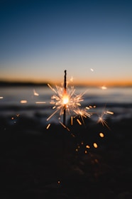 white dandelion flower during sunset