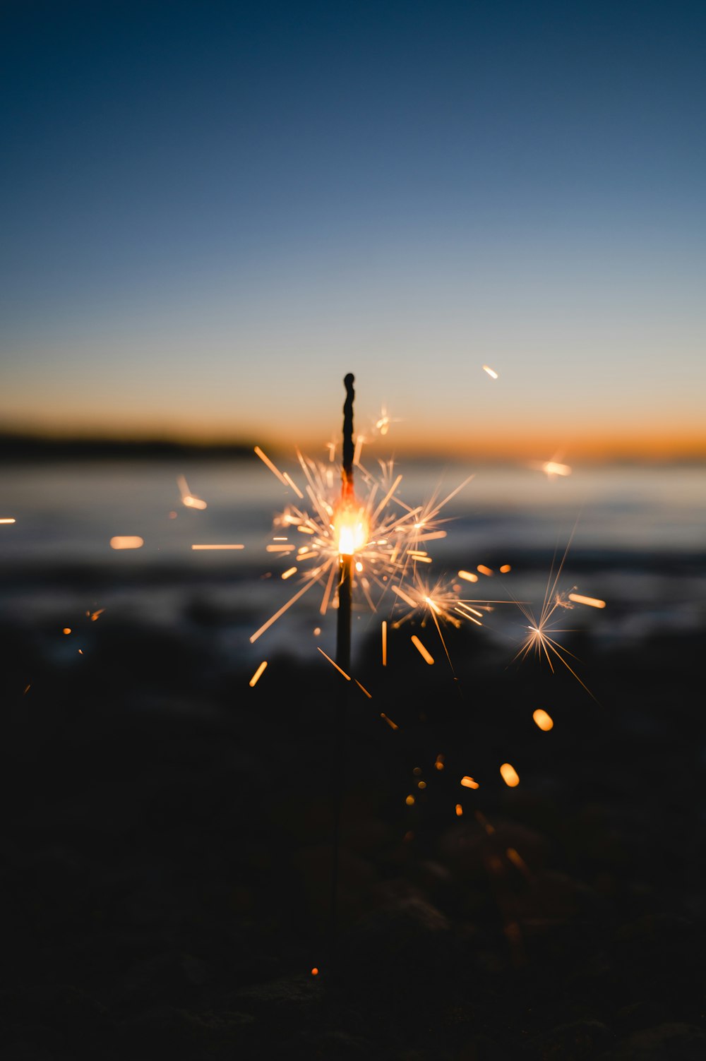 white dandelion flower during sunset