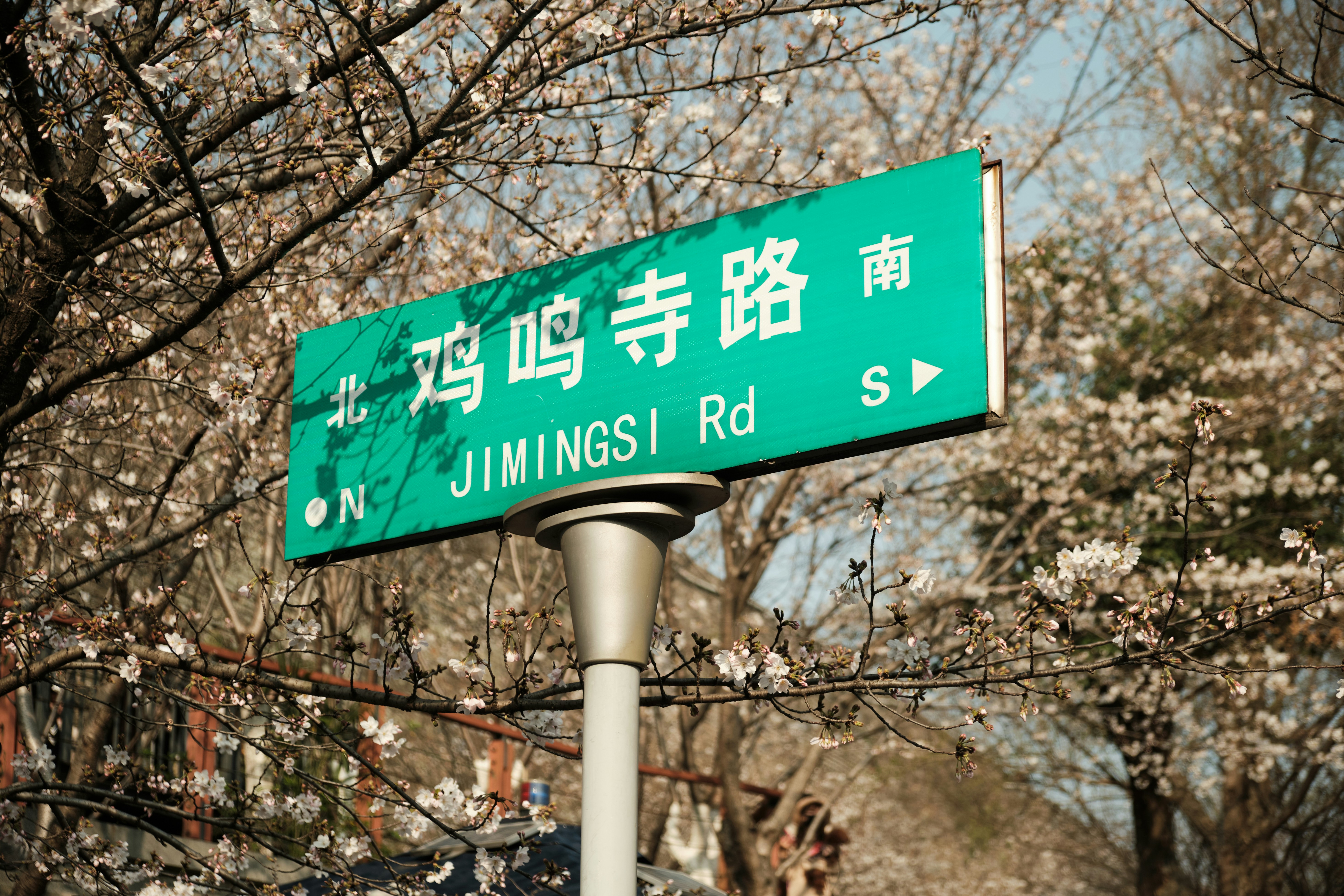 Green and white street sign photo – Free Jimingsi road Image on Unsplash