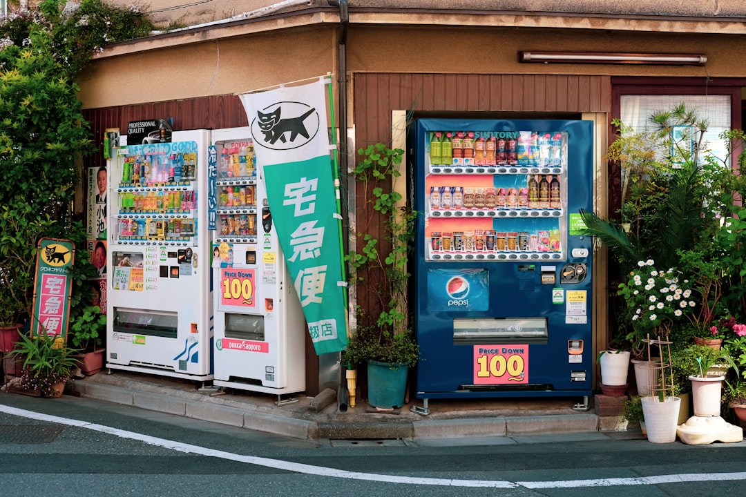 Exploring Japan Through 7,000 Miles of
