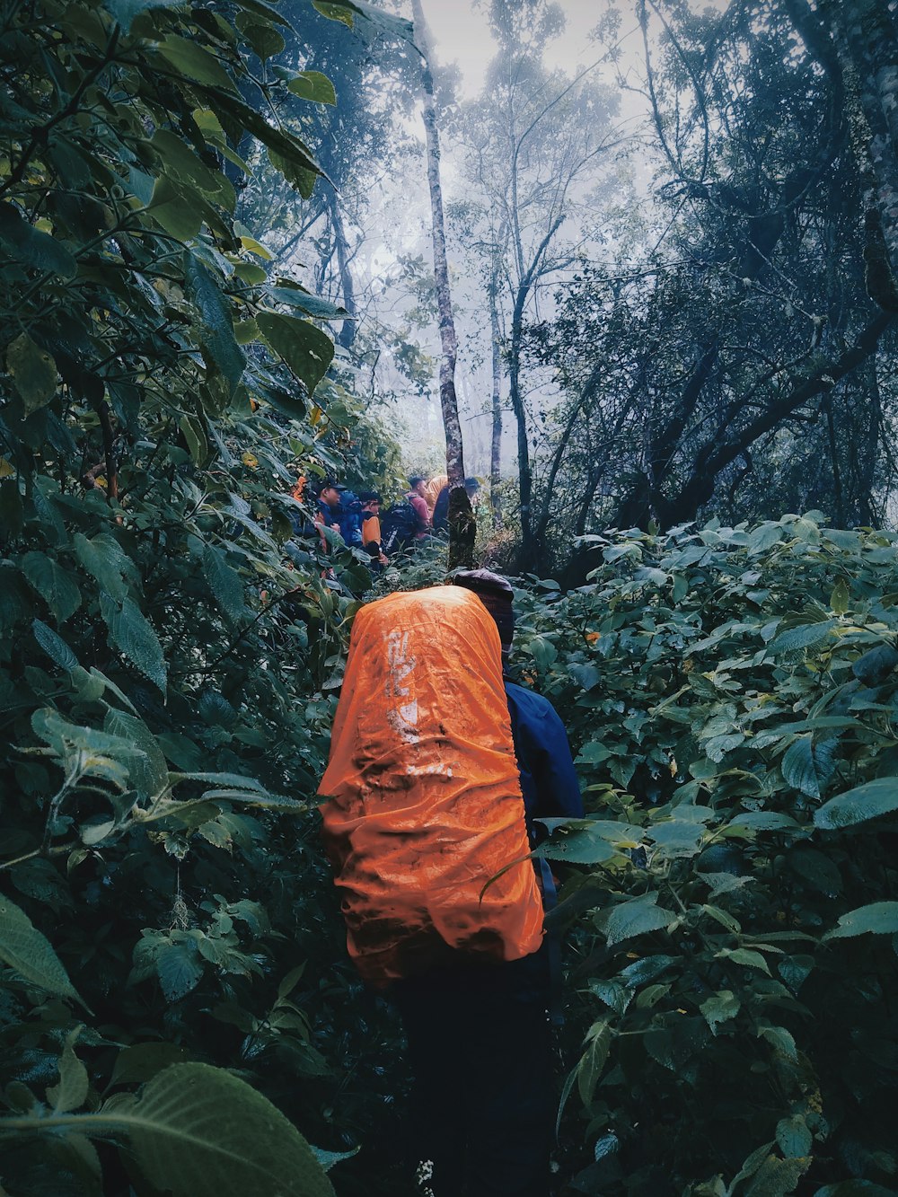 Person in orangefarbener Jacke, die tagsüber vor grünen Pflanzen steht