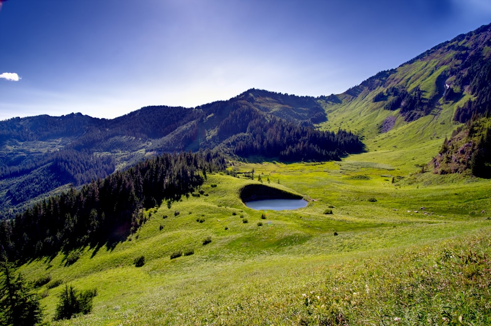 Champ d’herbe verte et montagne pendant la journée