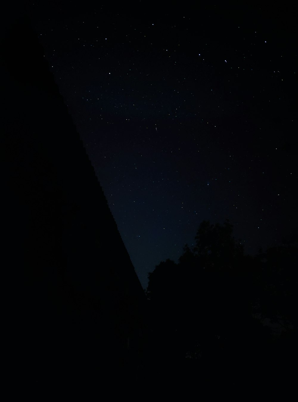 silhouette of trees under blue sky during night time