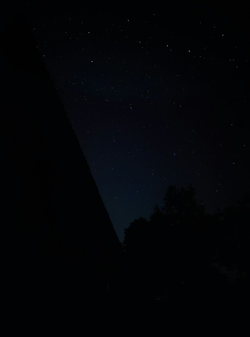 夜の青空に浮かぶ木々のシルエット
