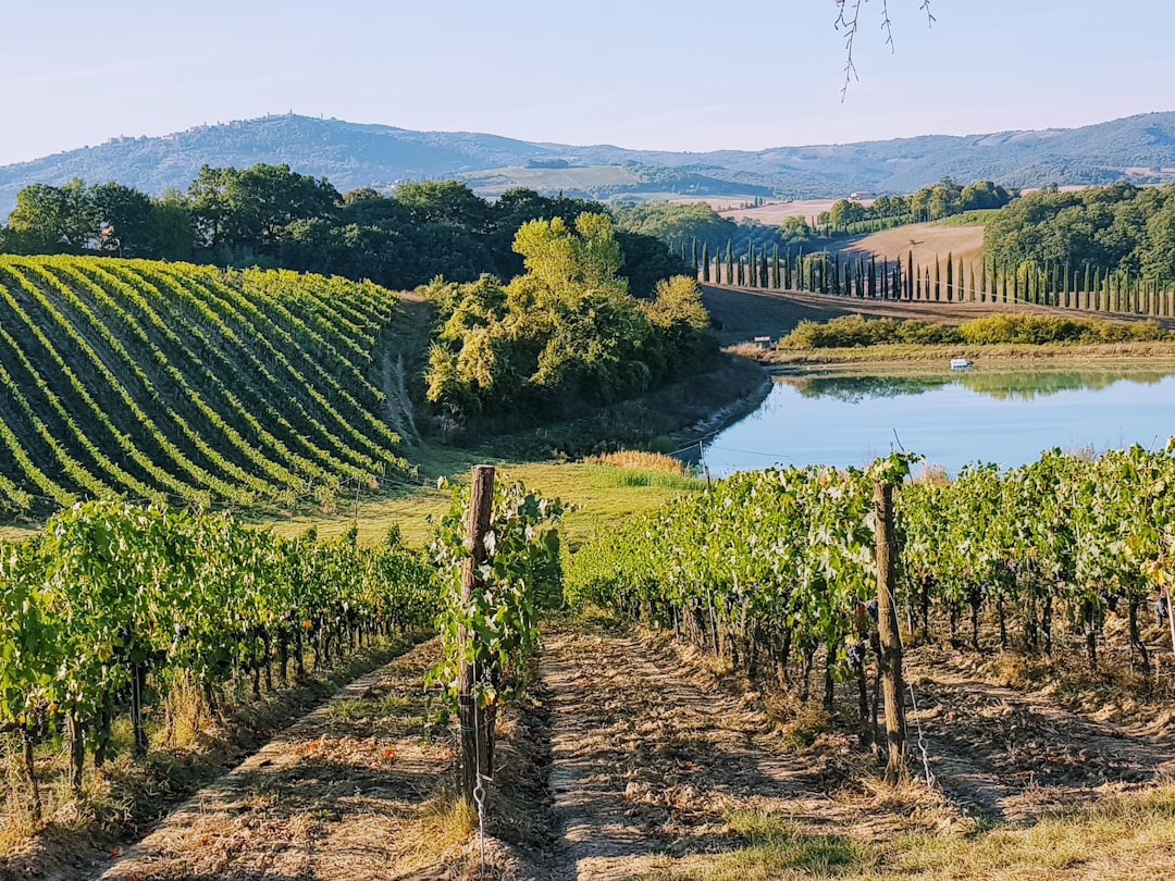 Under the Tuscan Sun: This Picturesque Italian Town Will Pay You to… — Under the Tuscan Sun