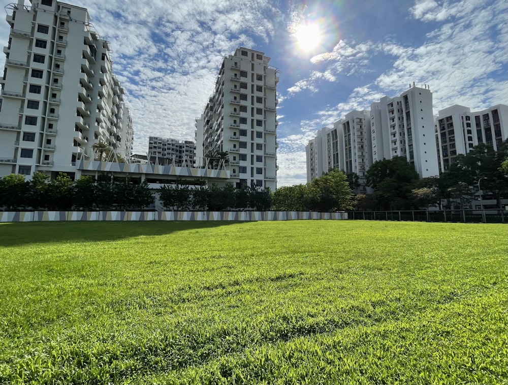 green grass field near city buildings under blue sky during daytime