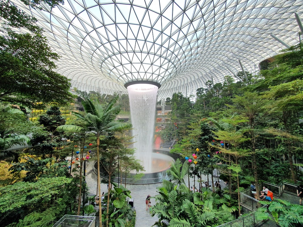 green trees and plants in a round white metal frame