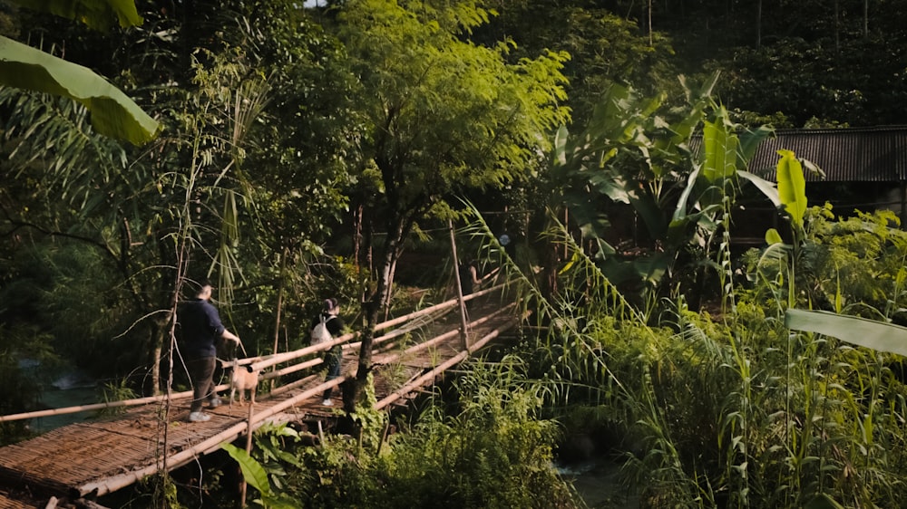 昼間、緑の木々に囲まれた木造の橋の上を歩く人々