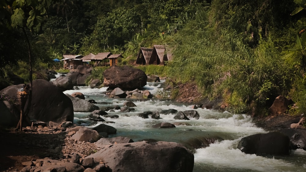 brown wooden house near river