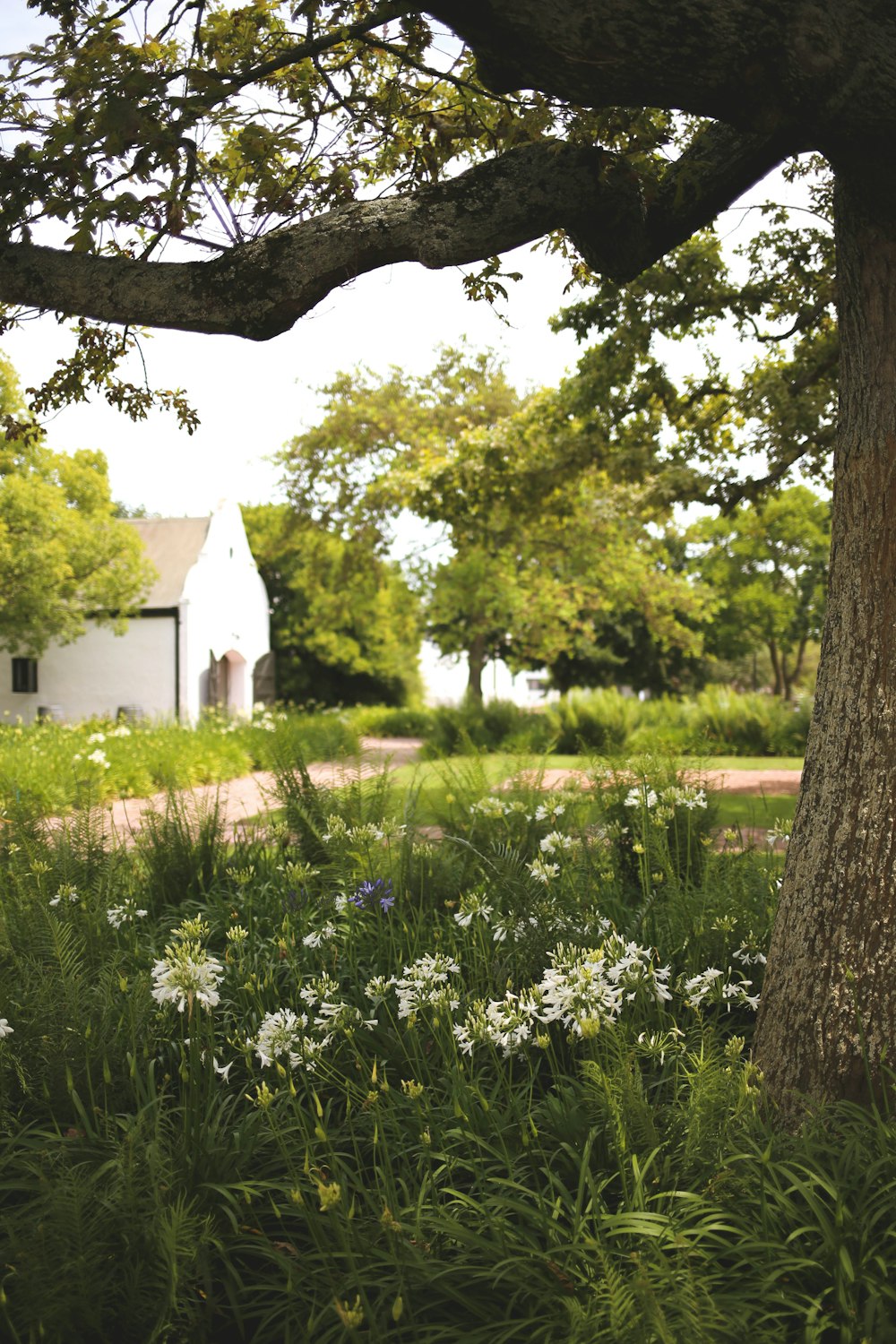 white wooden house near green grass field during daytime