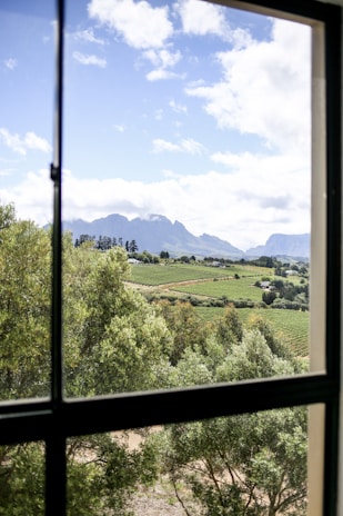 Close-up of a smart home control panel with vineyard landscape visible through the window.