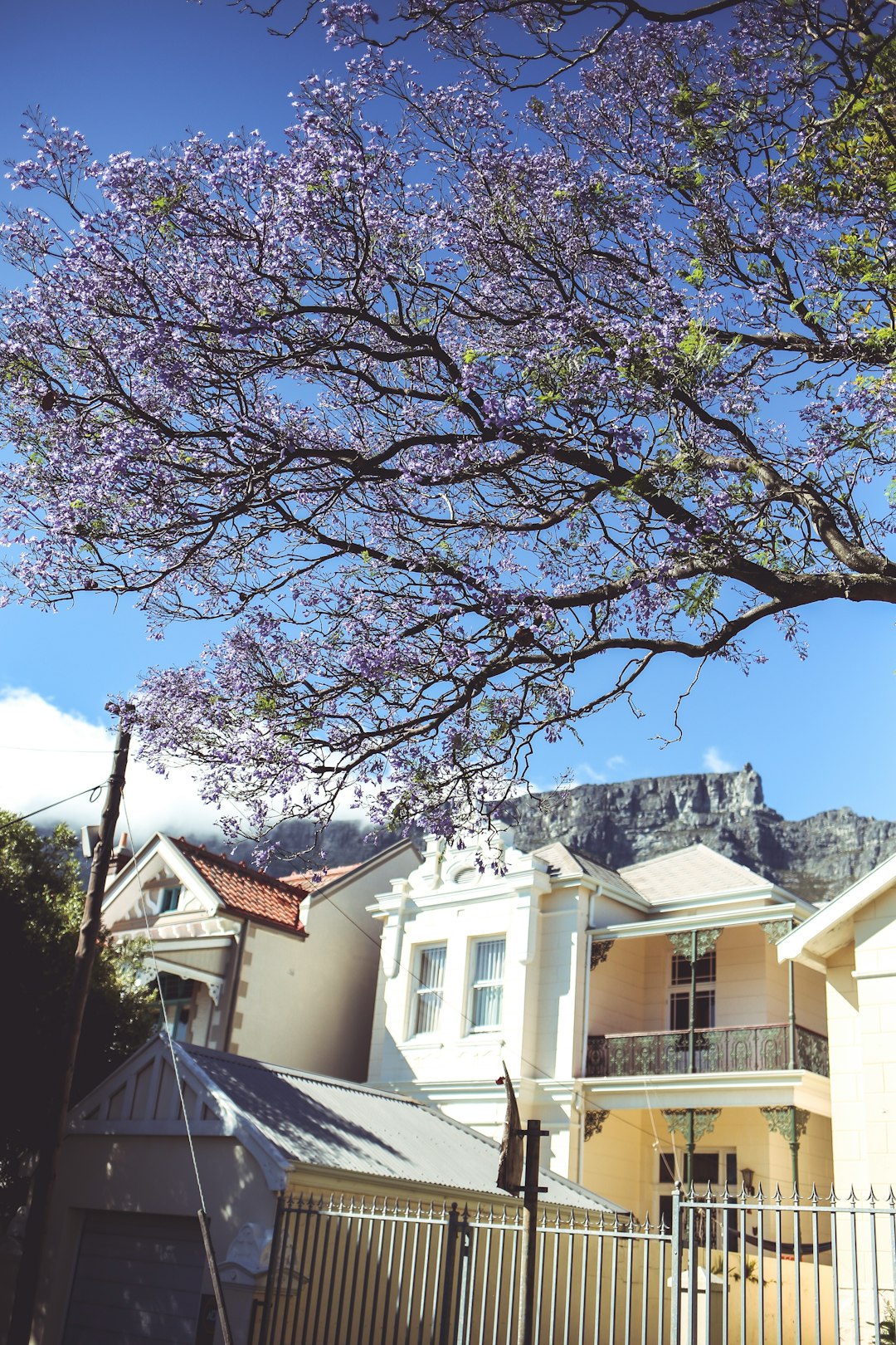 white and brown house near green trees under blue sky during daytime