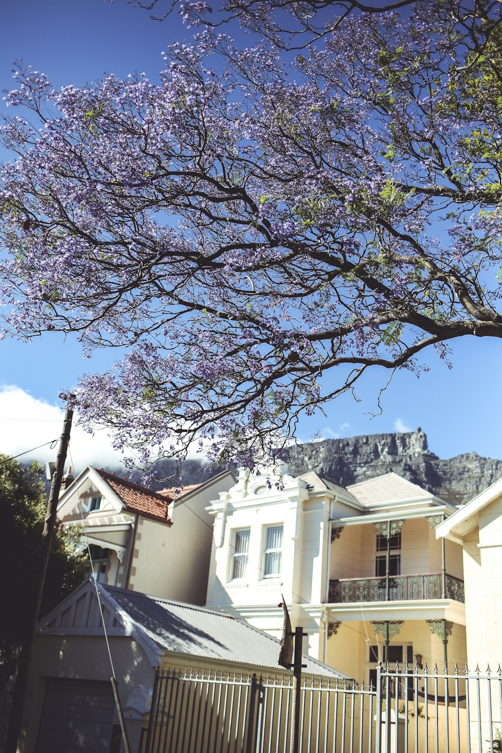 white and brown house near green trees under blue sky during daytime