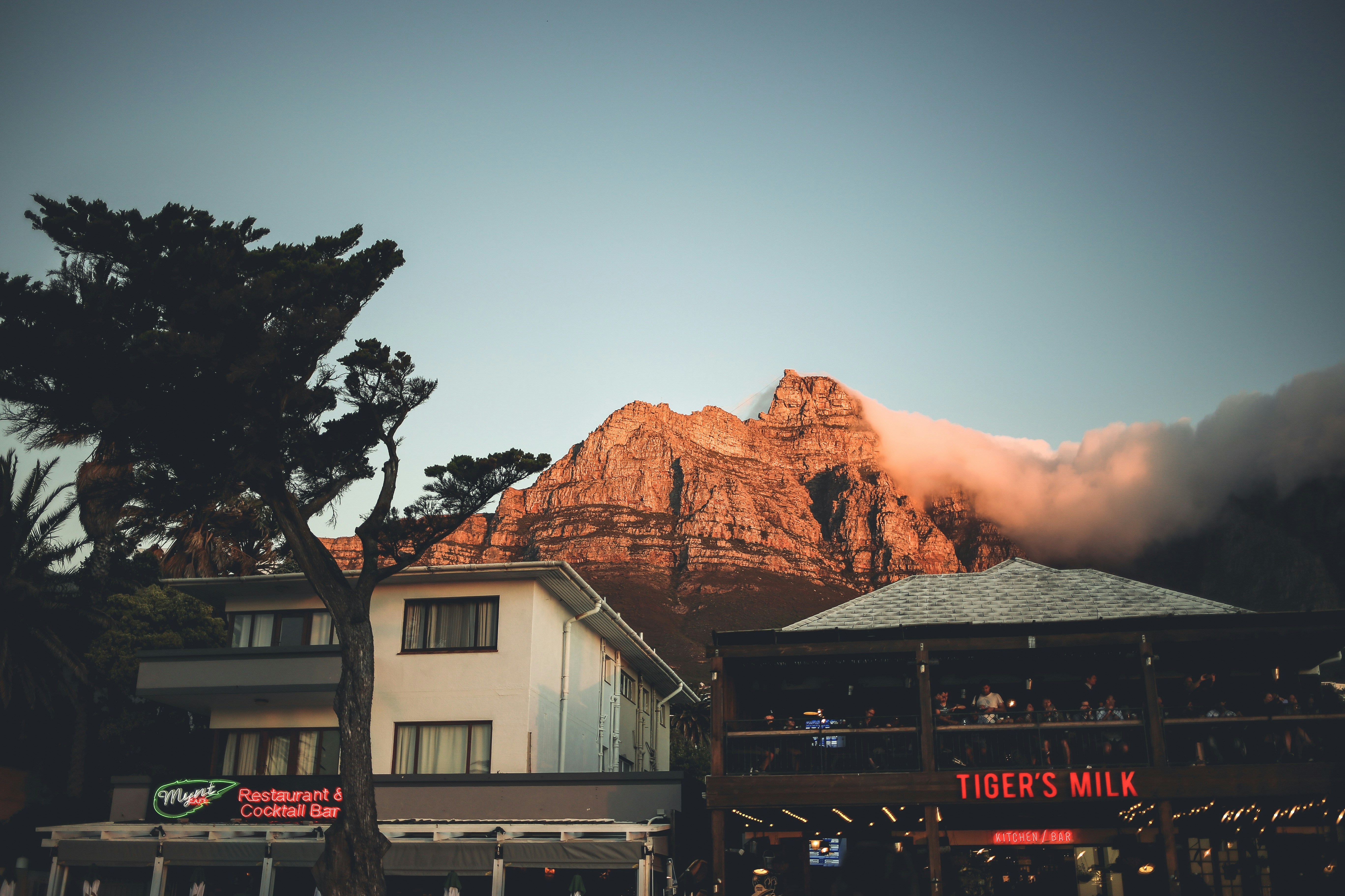 Le Cap.    Afrique du Sud.