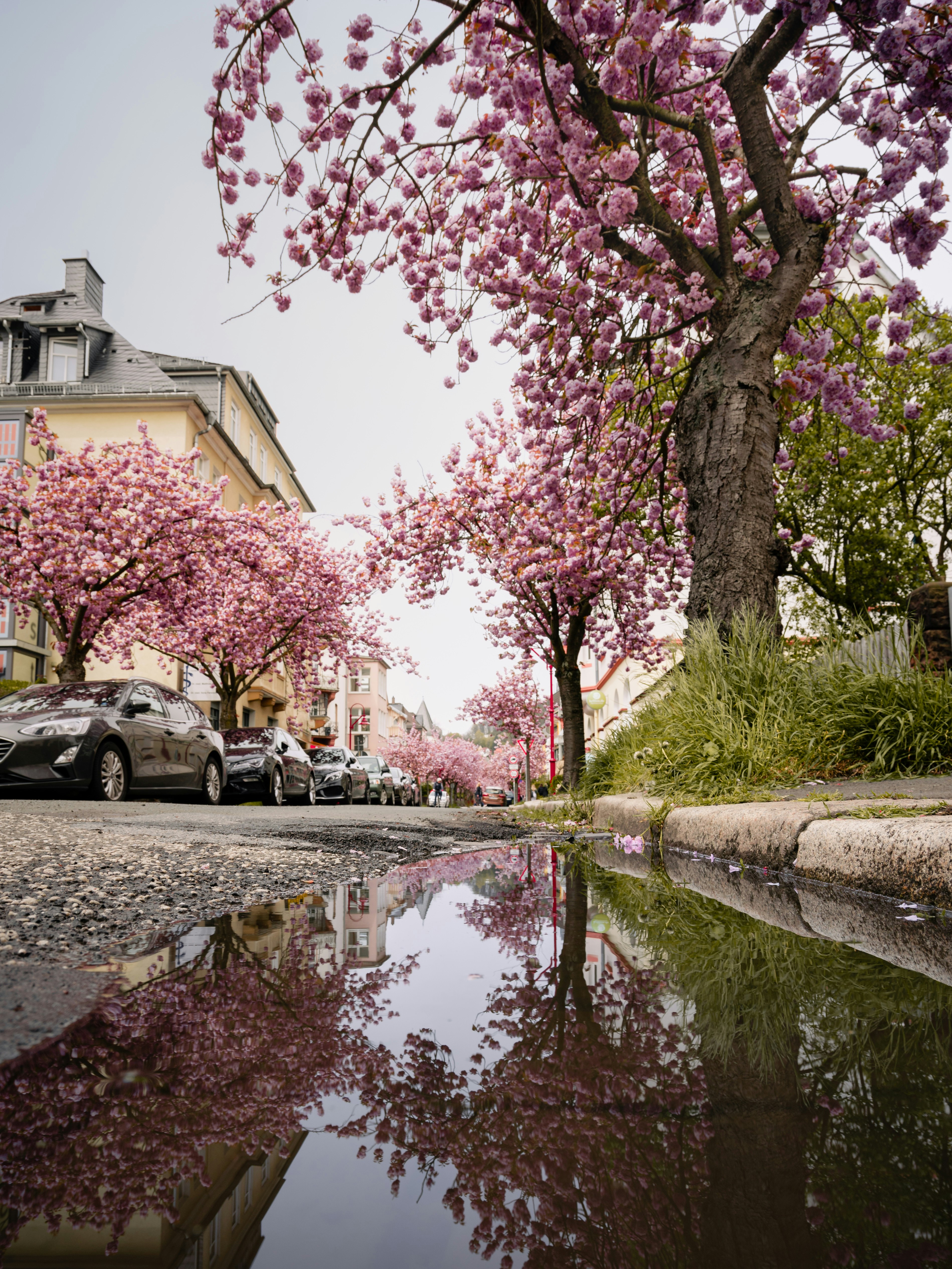 Personas sentadas en un banco cerca del río durante el día