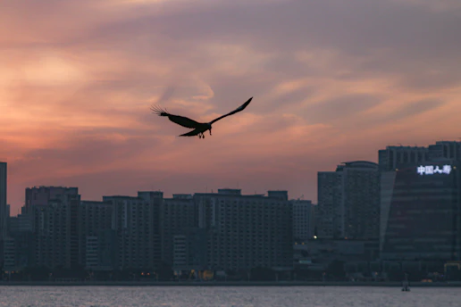 Keluang Man soaring over Kuala Lumpur's skyline at dusk, cape fluttering against the glowing city lights.