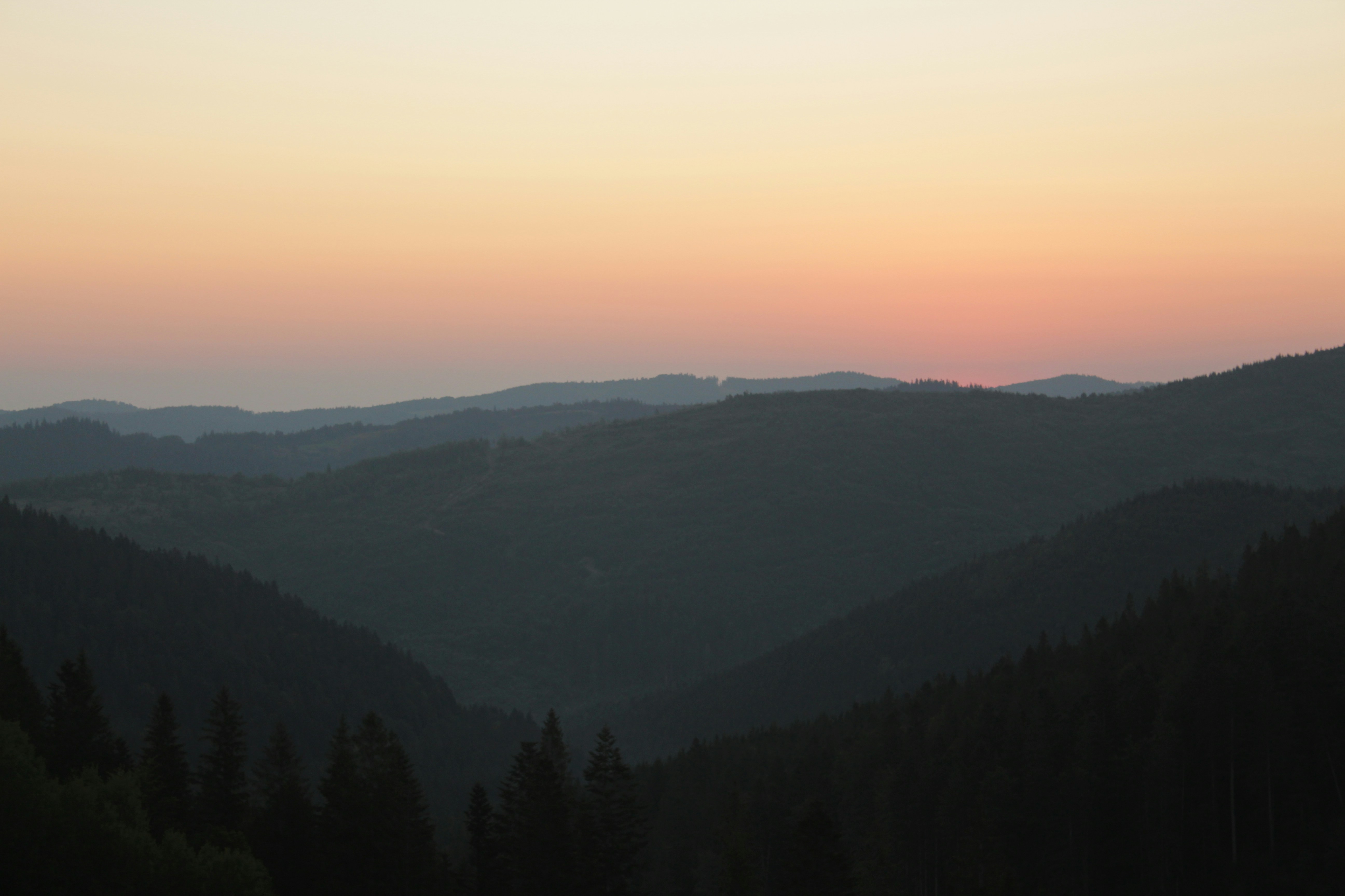 Photo by angelina2807