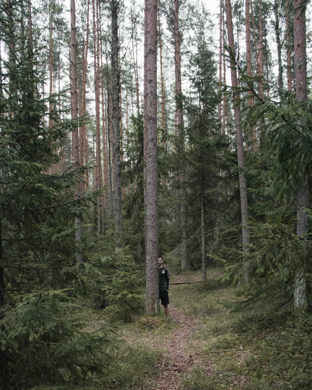 person in black jacket standing on forest during daytime