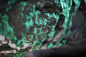 A close-up view of a rocky surface featuring bright green luminescent mineral deposits creating an intriguing and vibrant texture across the uneven stone formation.
