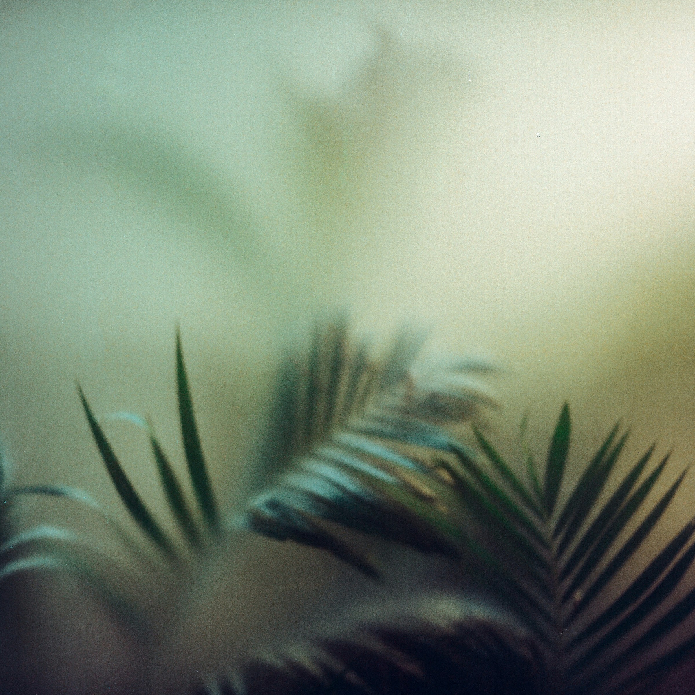 "green", instagram: phamdchuong